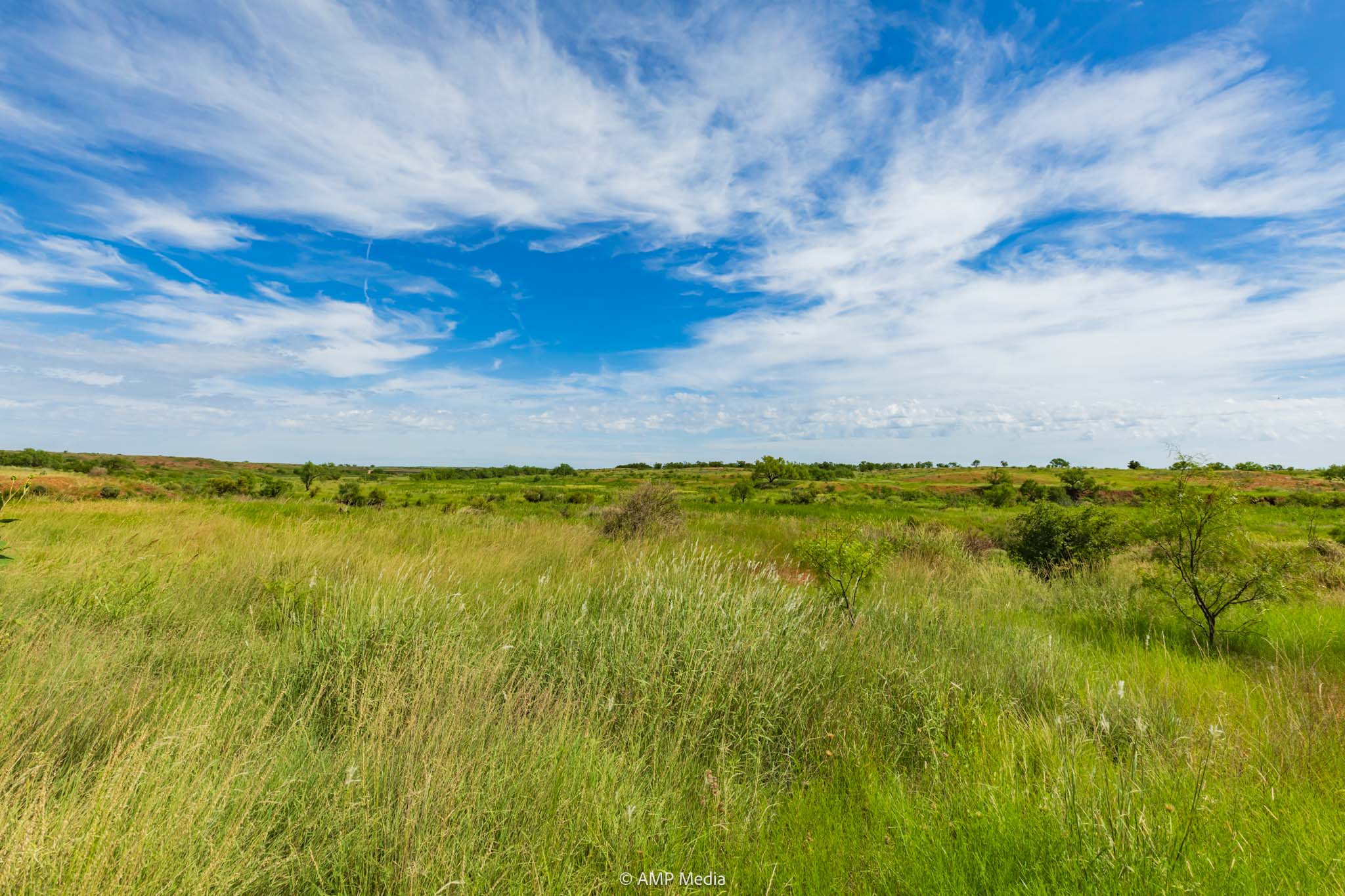 Property Photo 42 Property photograph 42