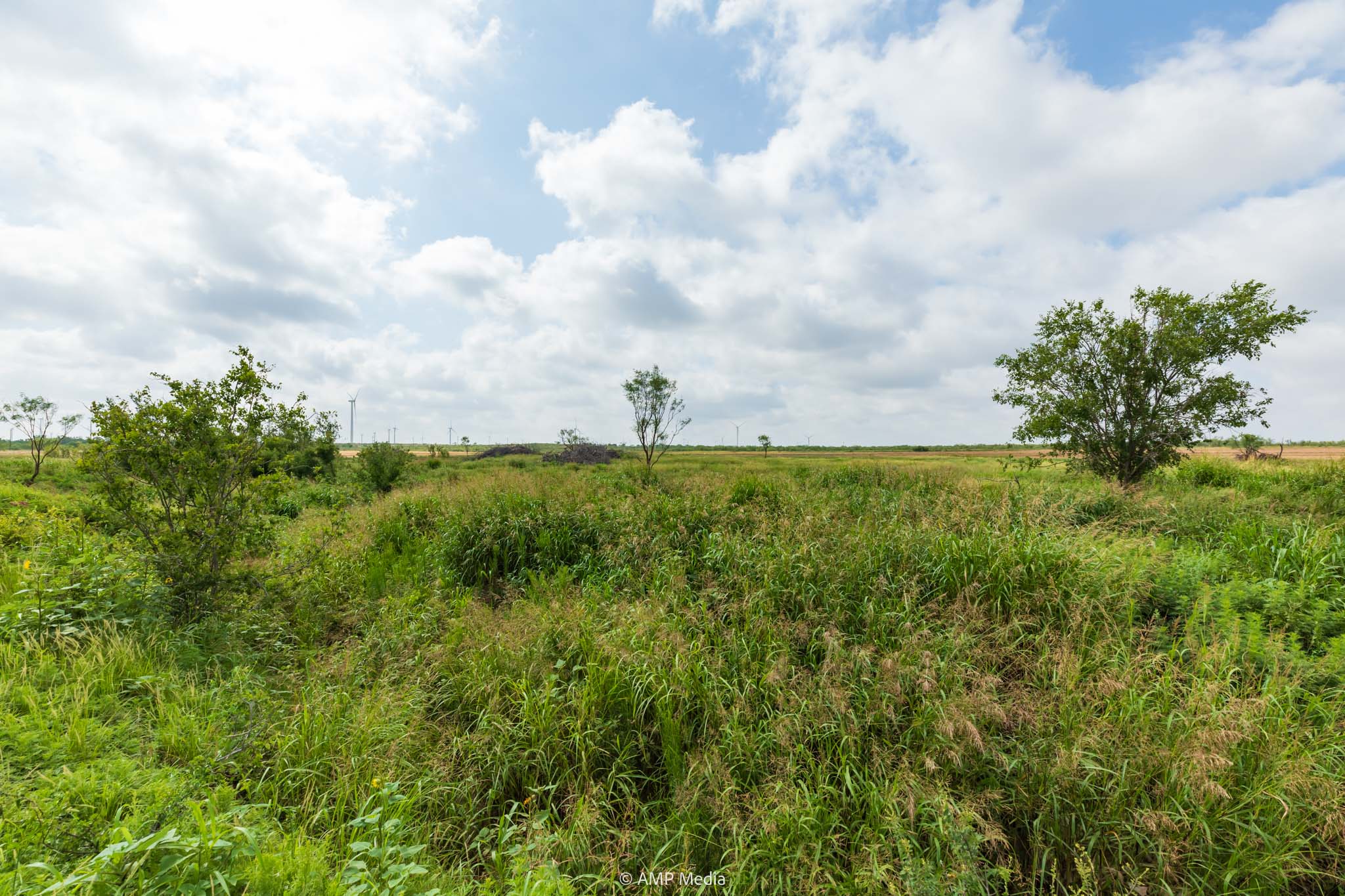 Property Photo 42 Property photograph 42