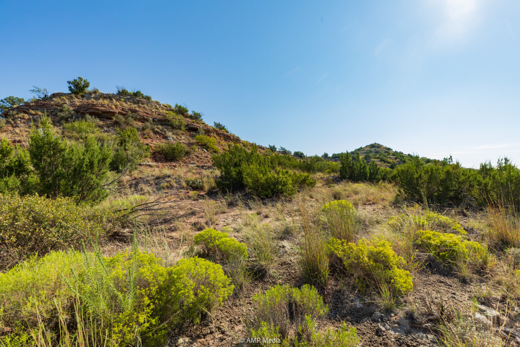 Property Photo 42 Property photograph 42
