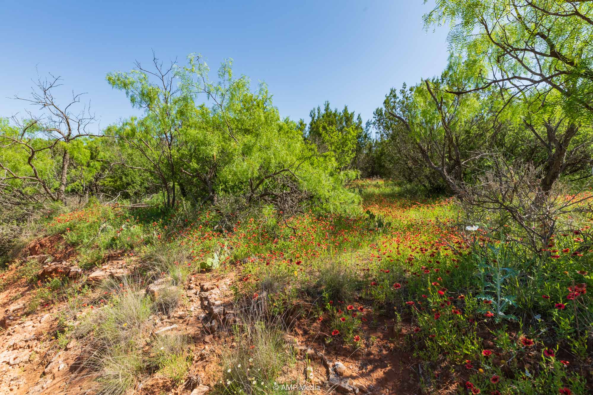 Property Photo 43 Property photograph 43