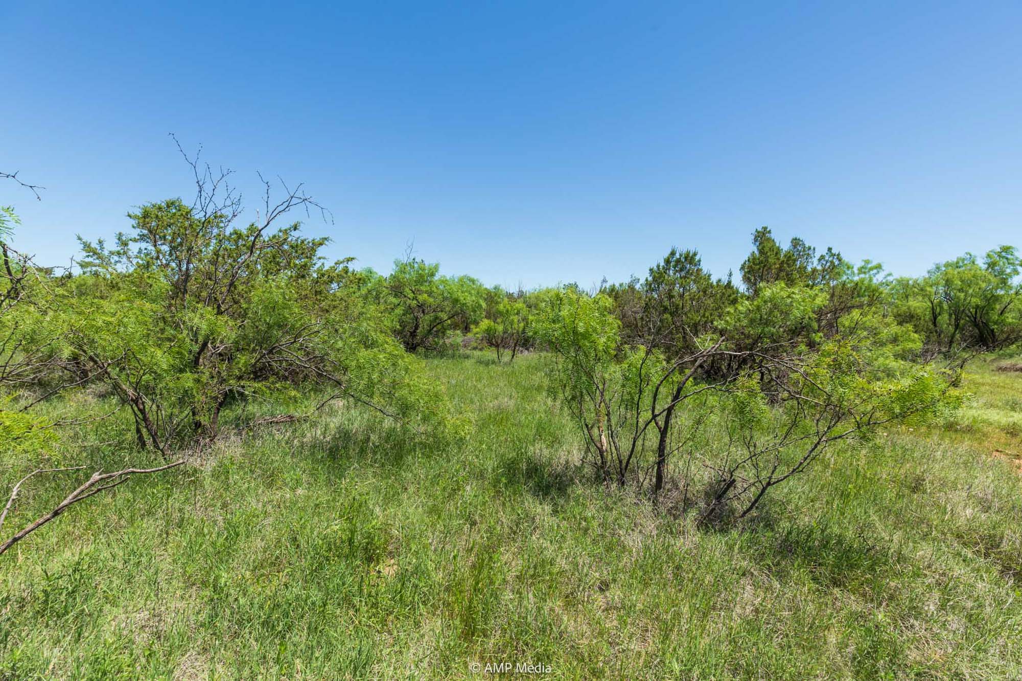 Property Photo 43 Property photograph 43