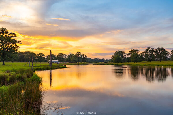 Property photograph 43