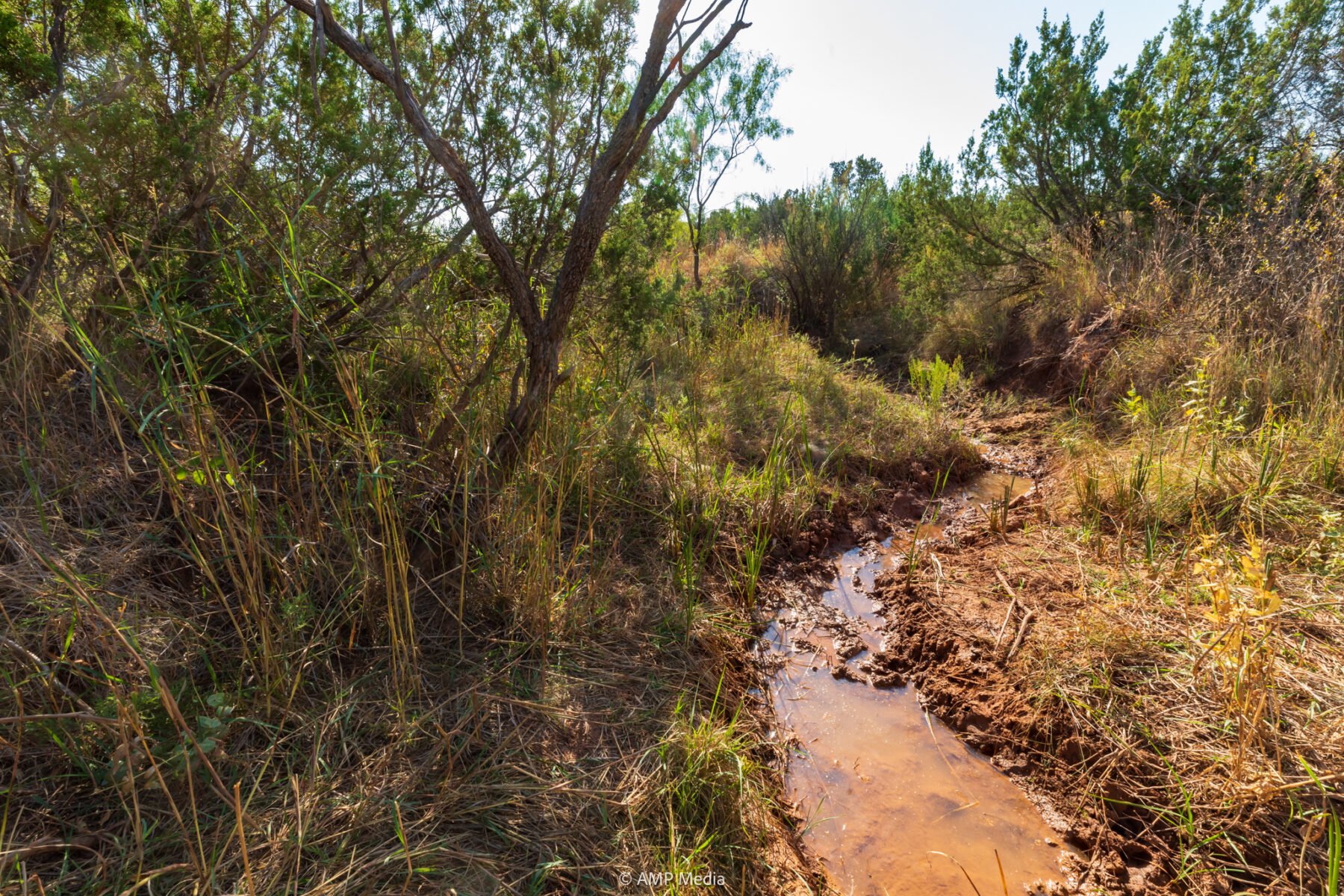 Property Photo 43 Property photograph 43