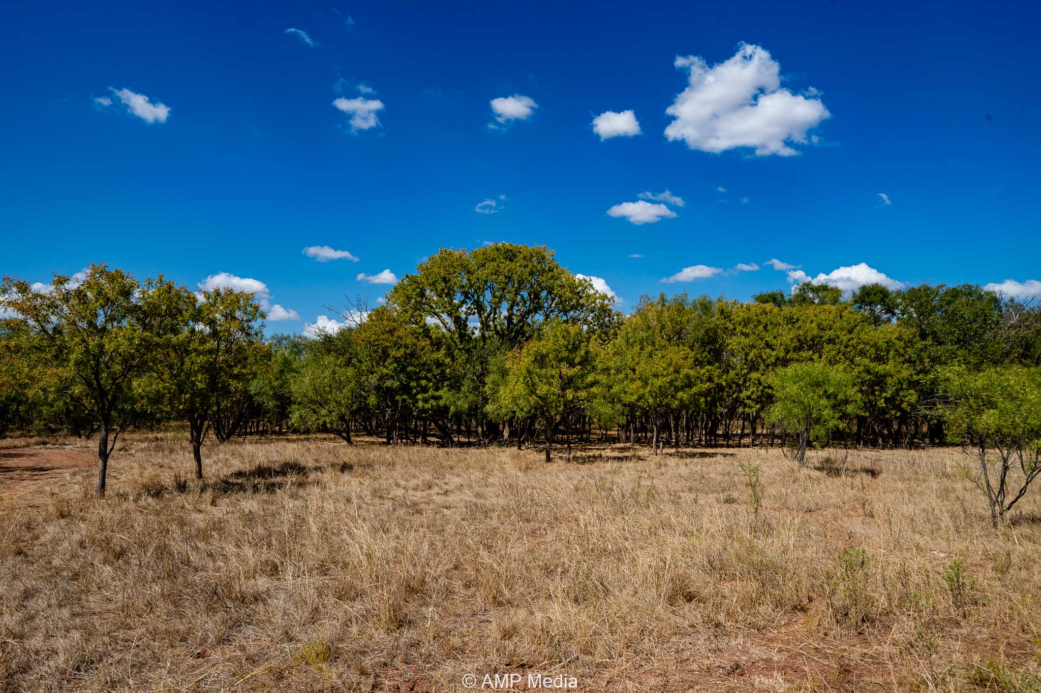 Property Photo 43 Property photograph 43