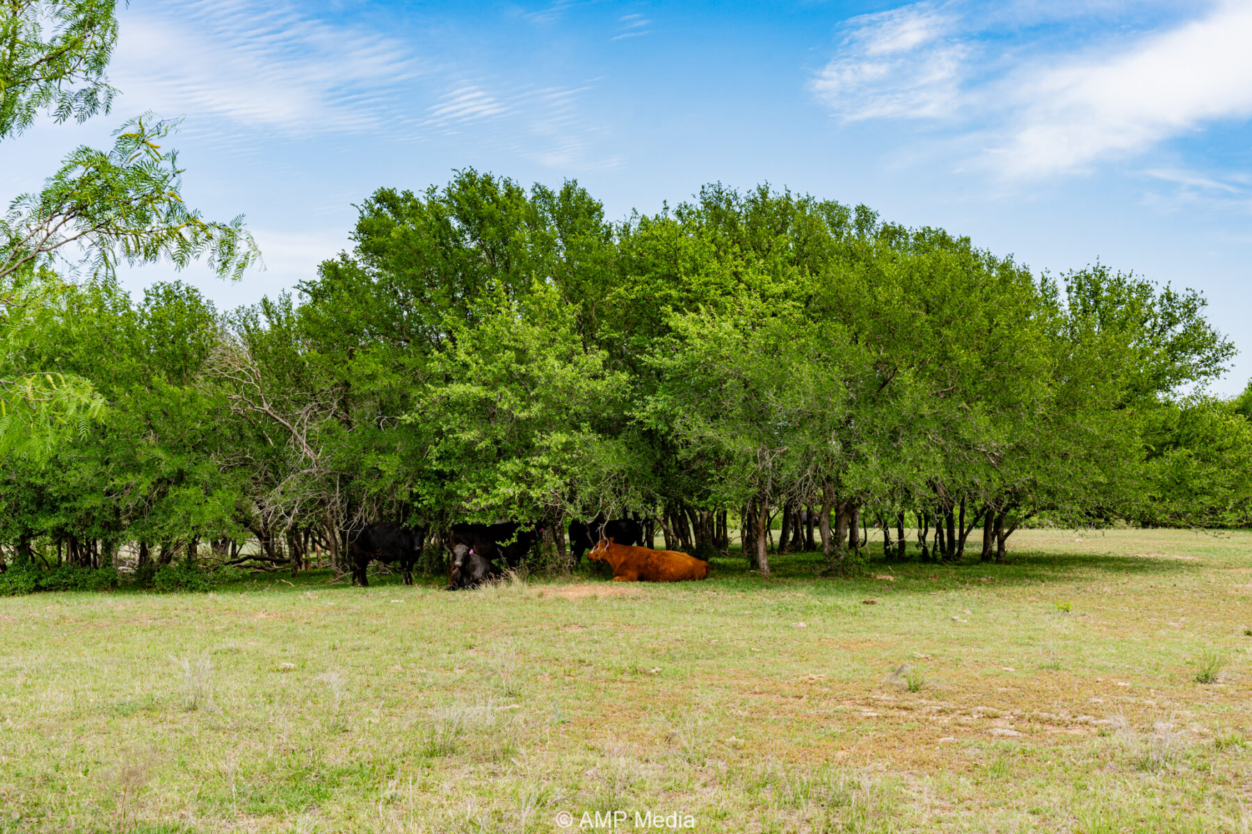 Property Photo 44 Property photograph 44