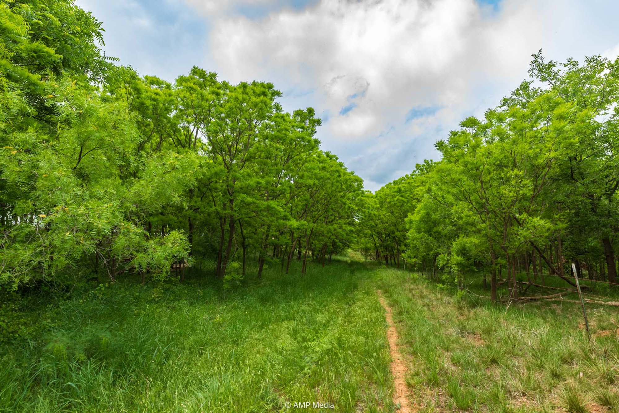 Property Photo 44 Property photograph 44