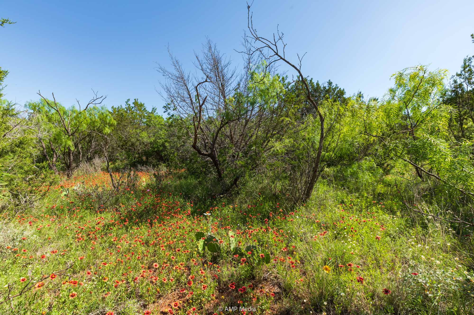 Property Photo 44 Property photograph 44