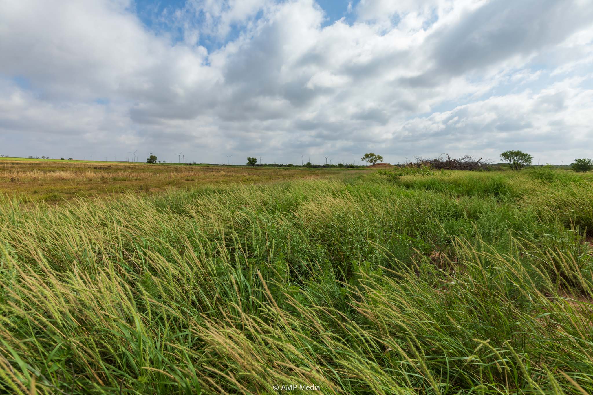 Property Photo 44 Property photograph 44