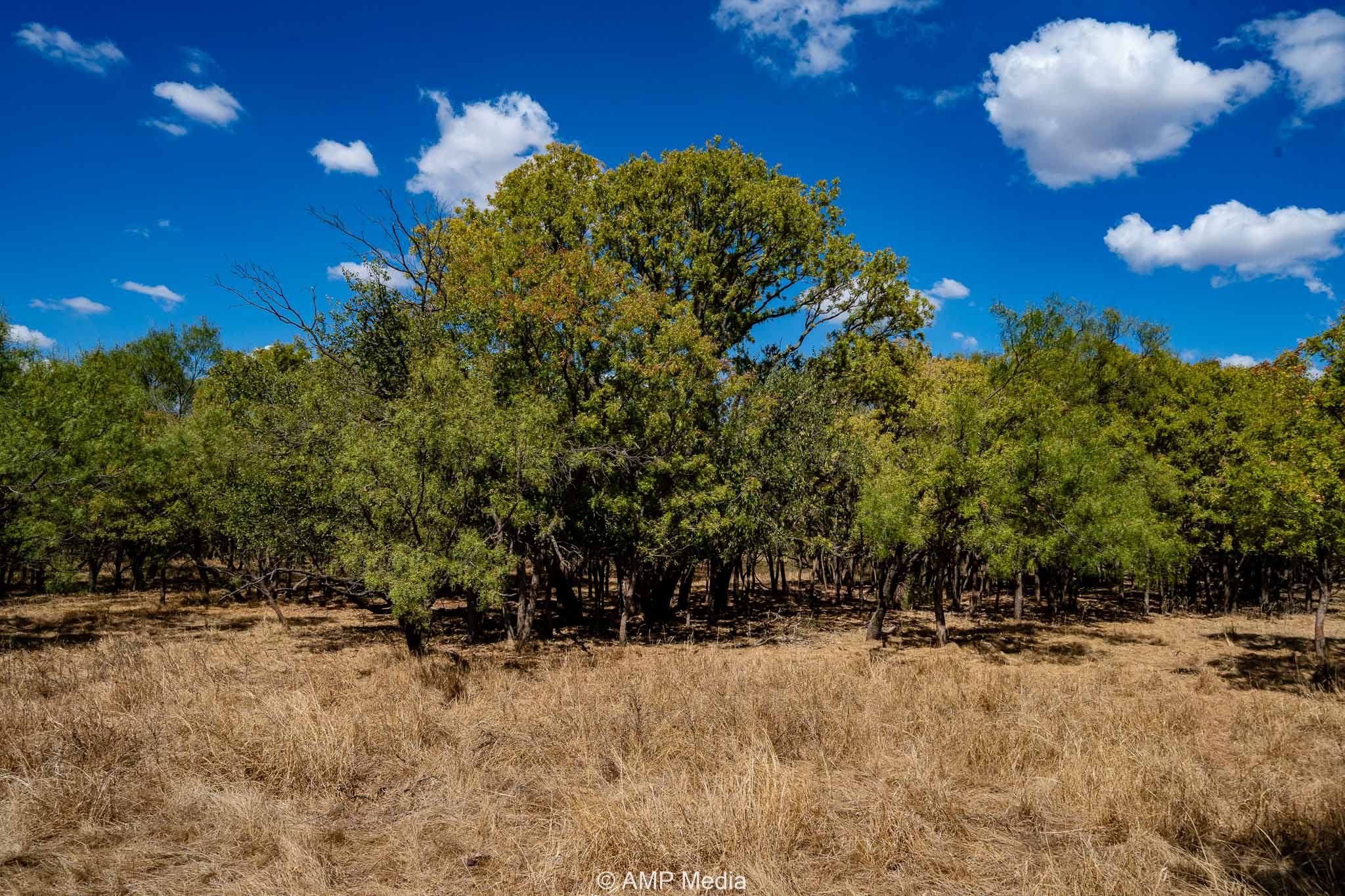 Property Photo 44 Property photograph 44
