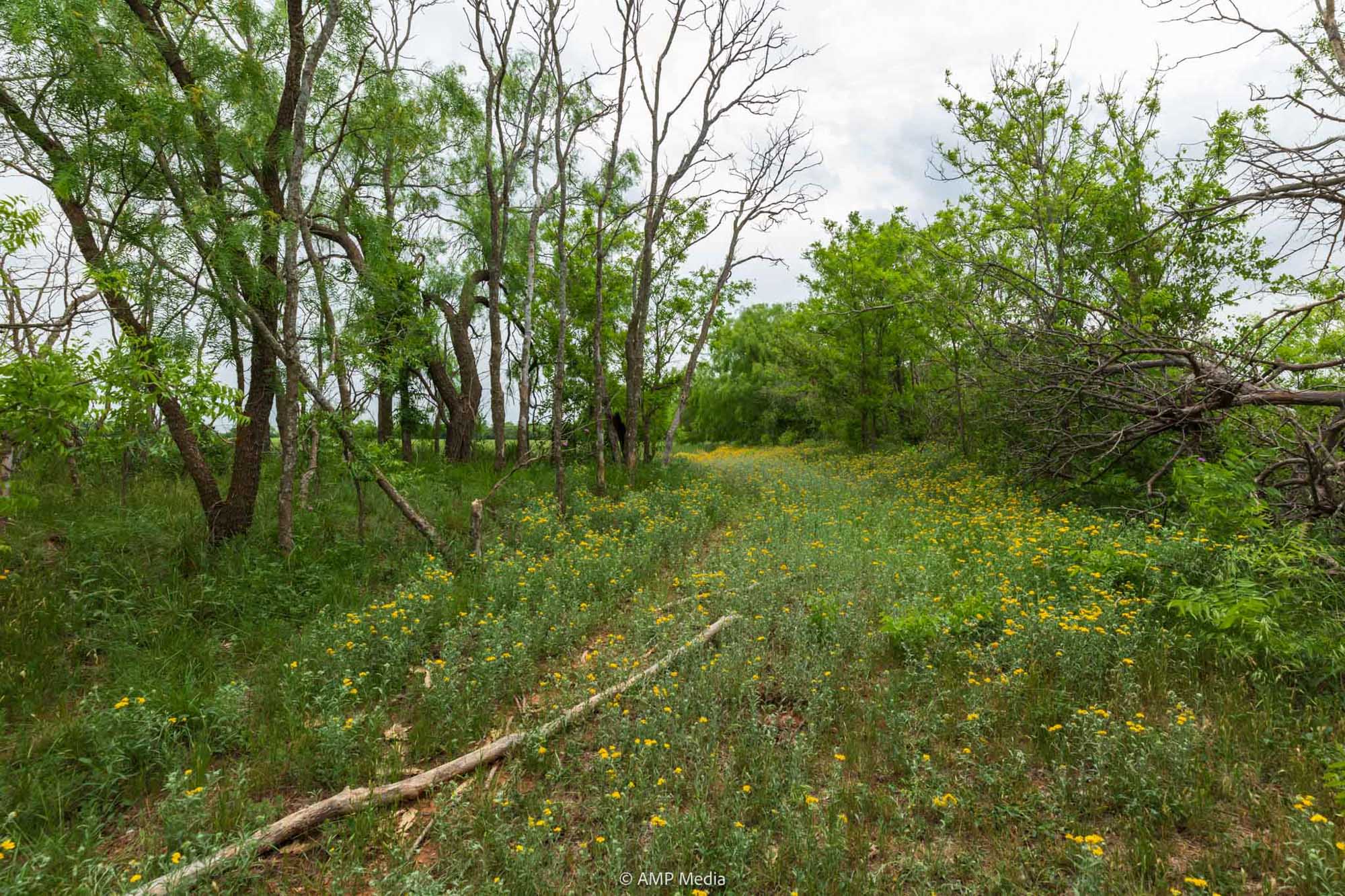 Property Photo 45 Property photograph 45