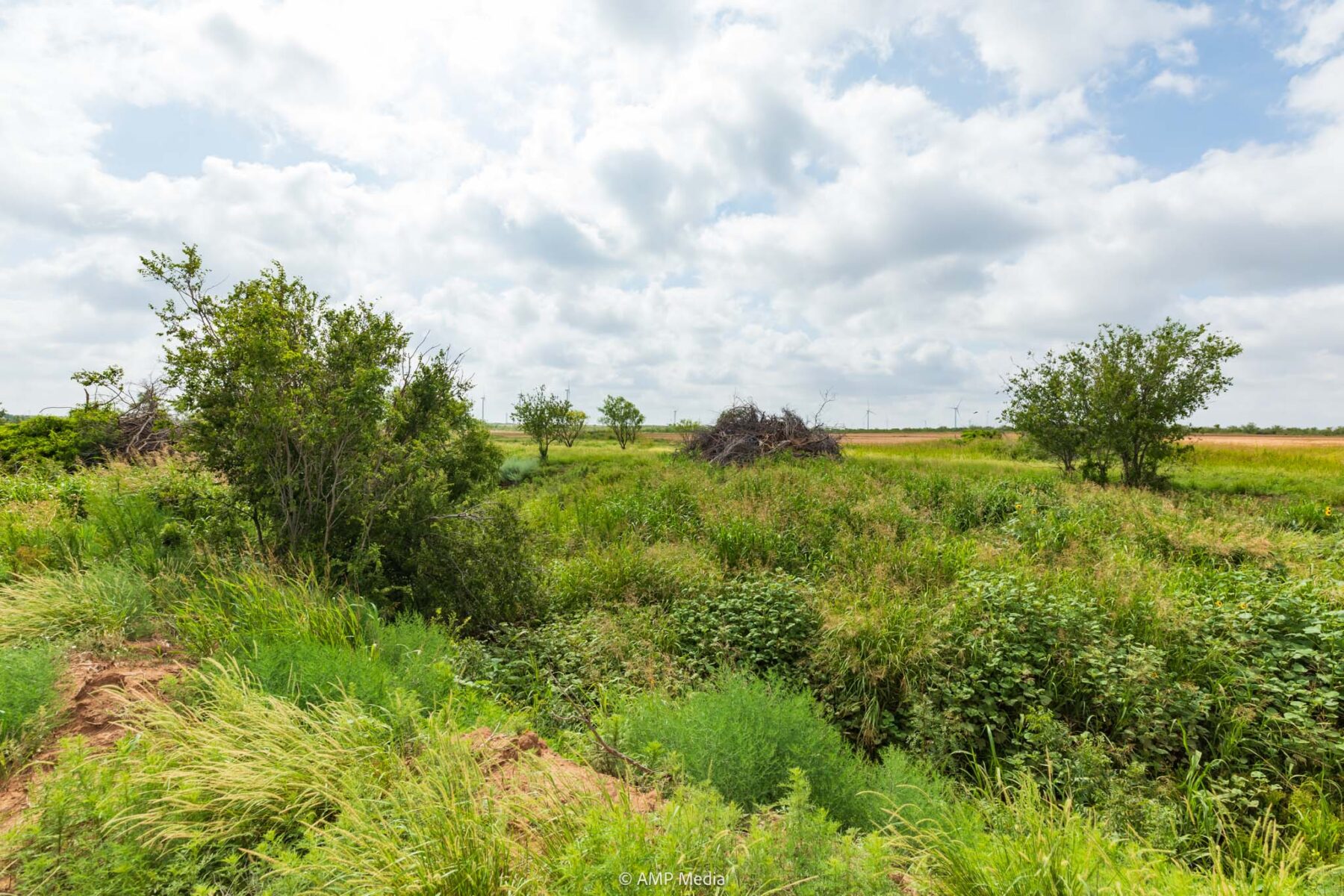 Property Photo 45 Property photograph 45