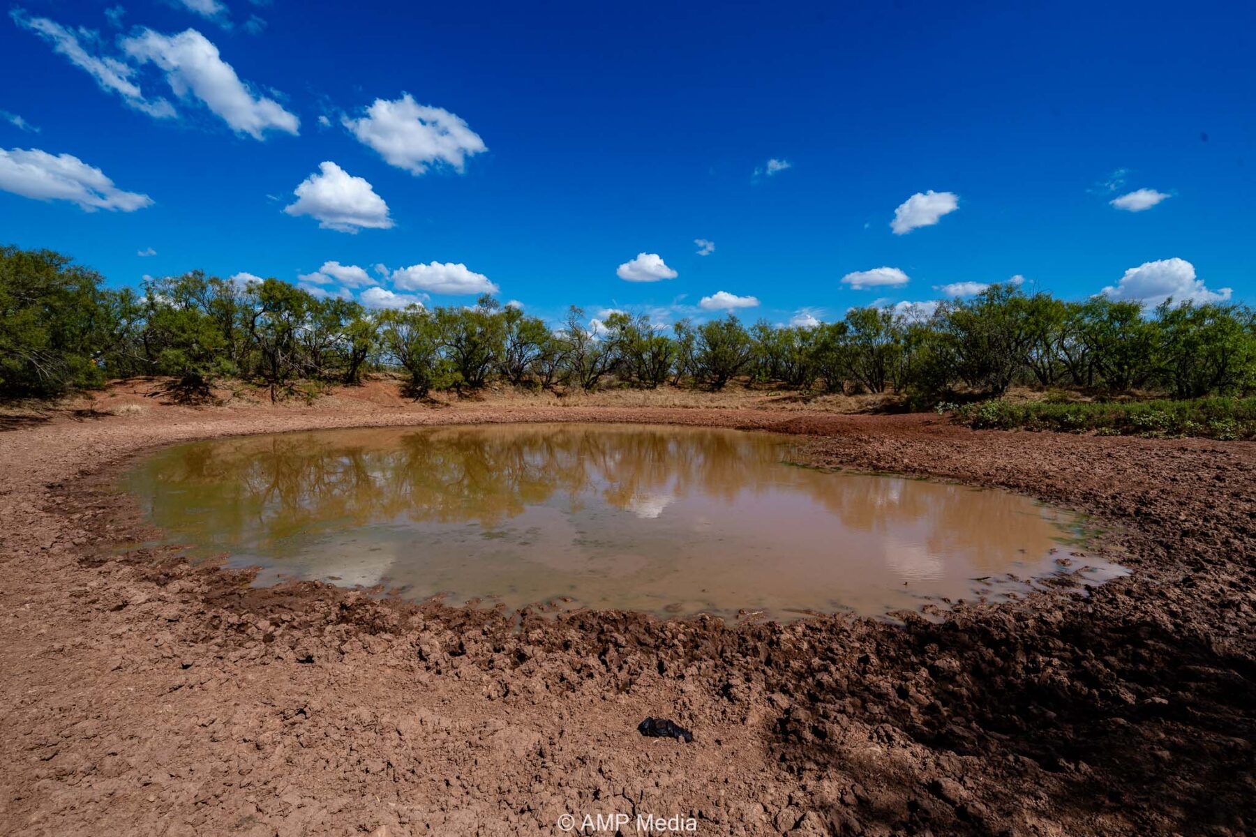 Property Photo 45 Property photograph 45