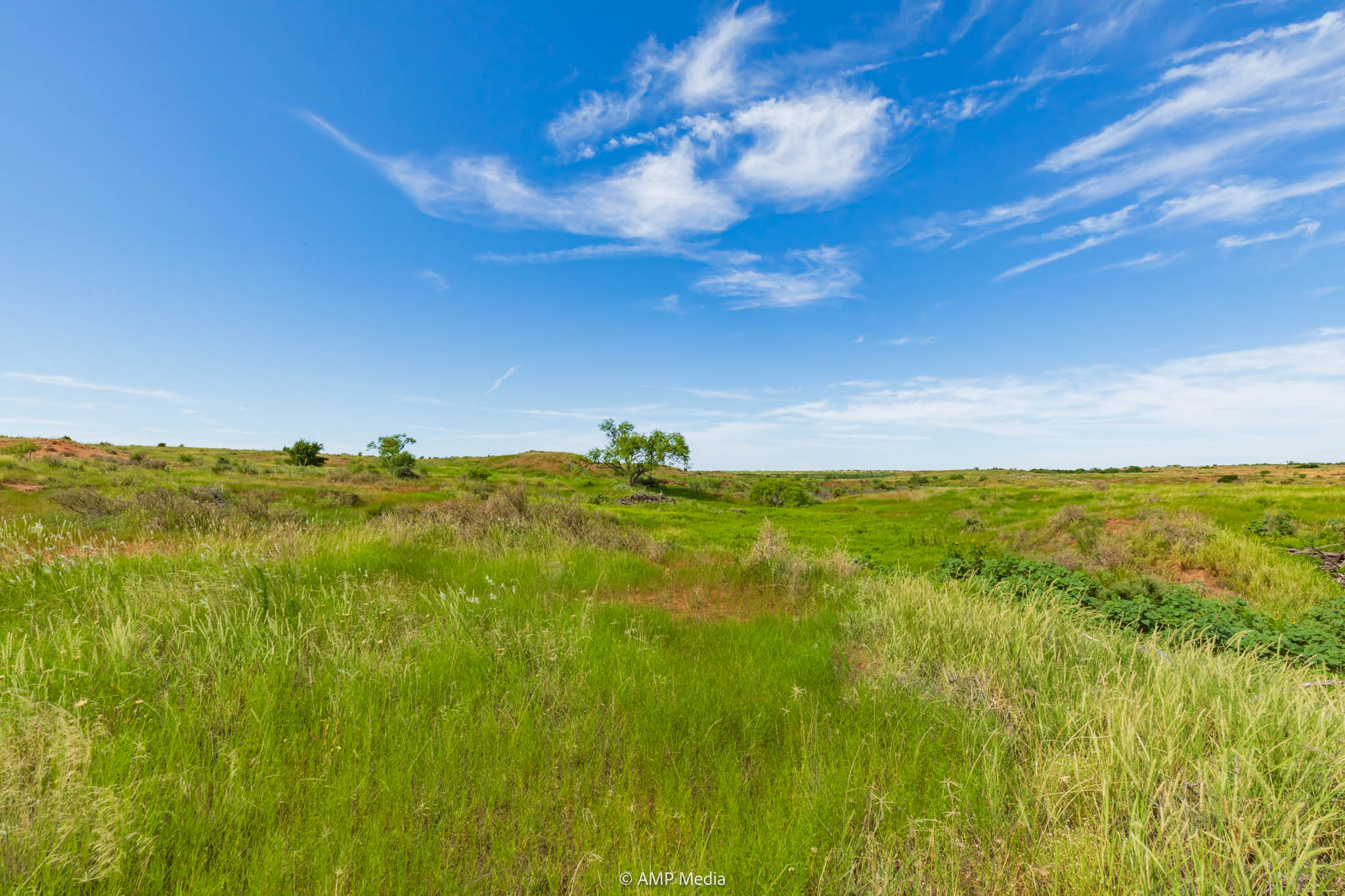 Property Photo 46 Property photograph 46