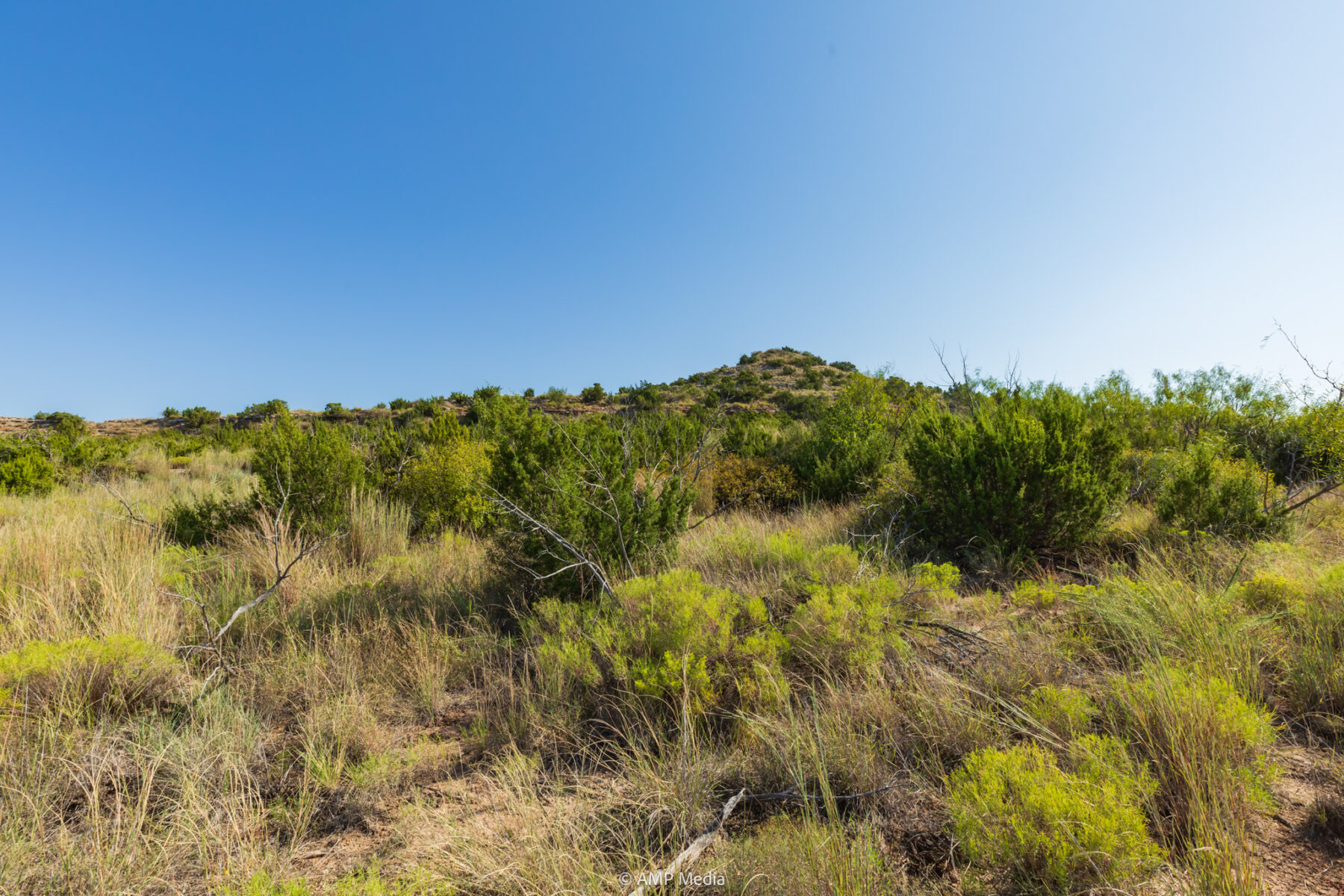 Property Photo 46 Property photograph 46
