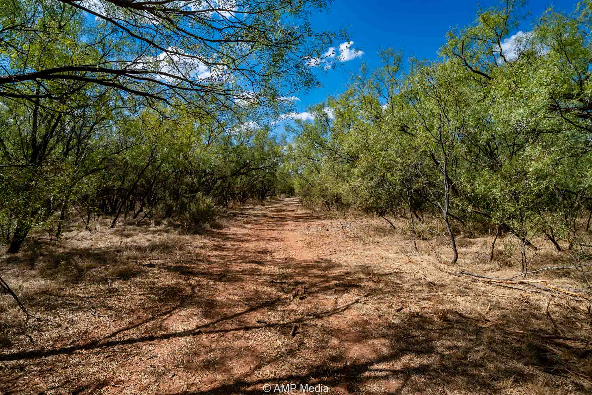 Property Photo 46 Property photograph 46