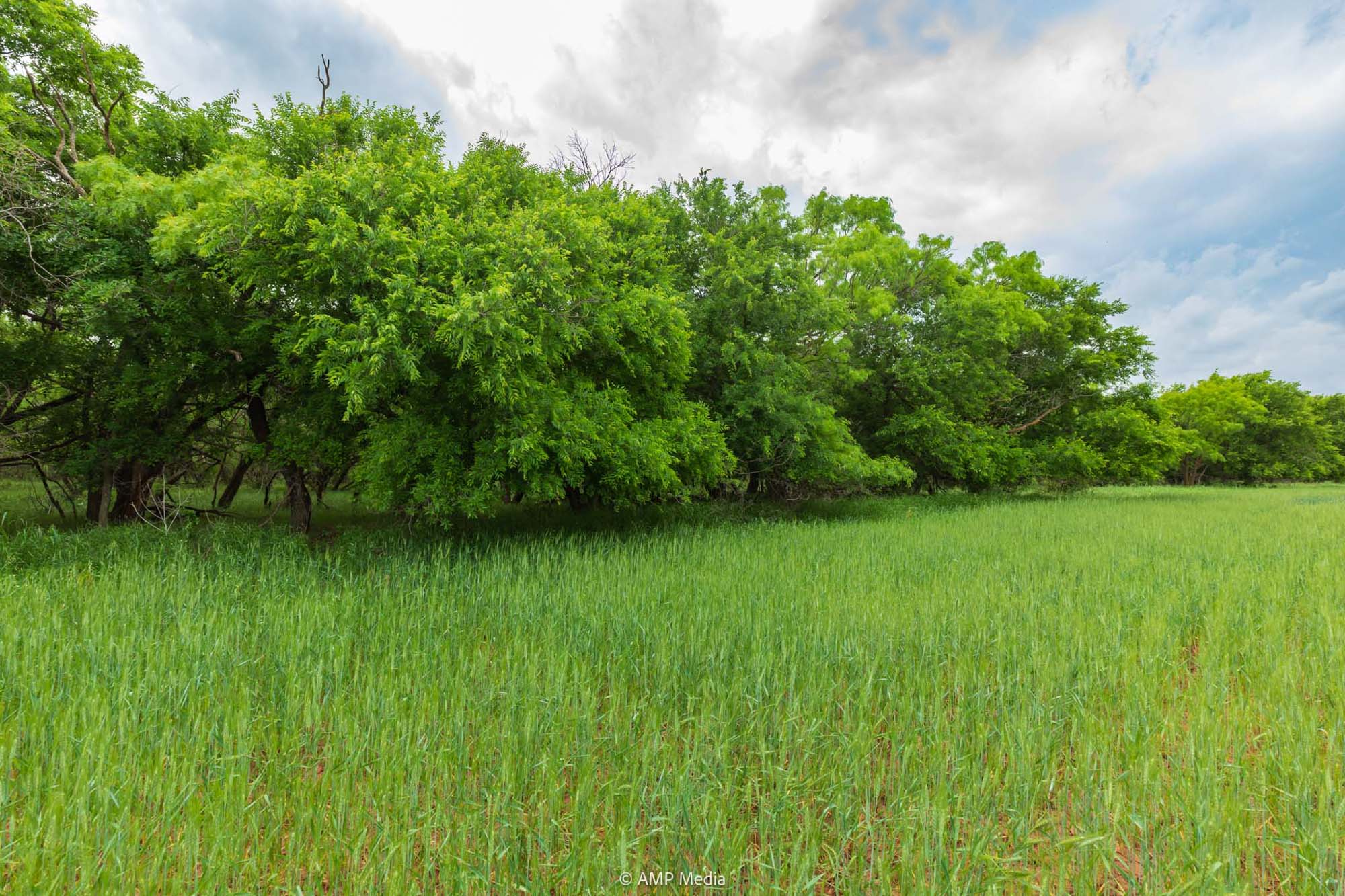 Property Photo 47 Property photograph 47