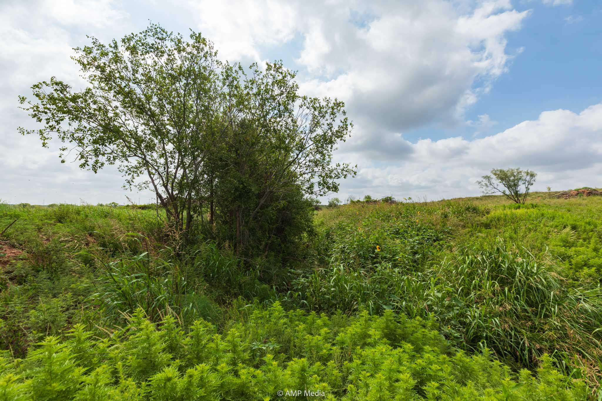 Property Photo 47 Property photograph 47