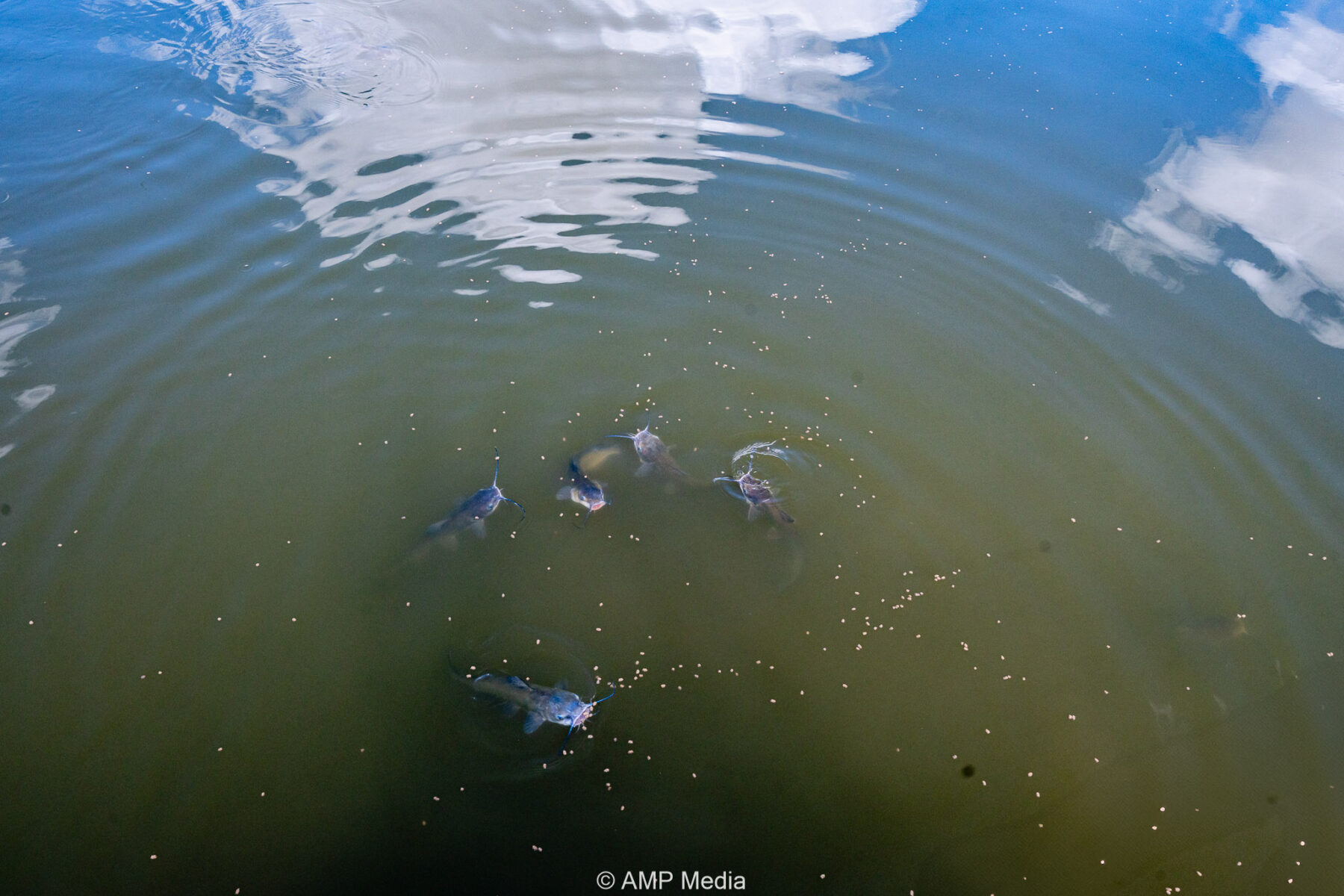 Property Photo 47 Property photograph 47