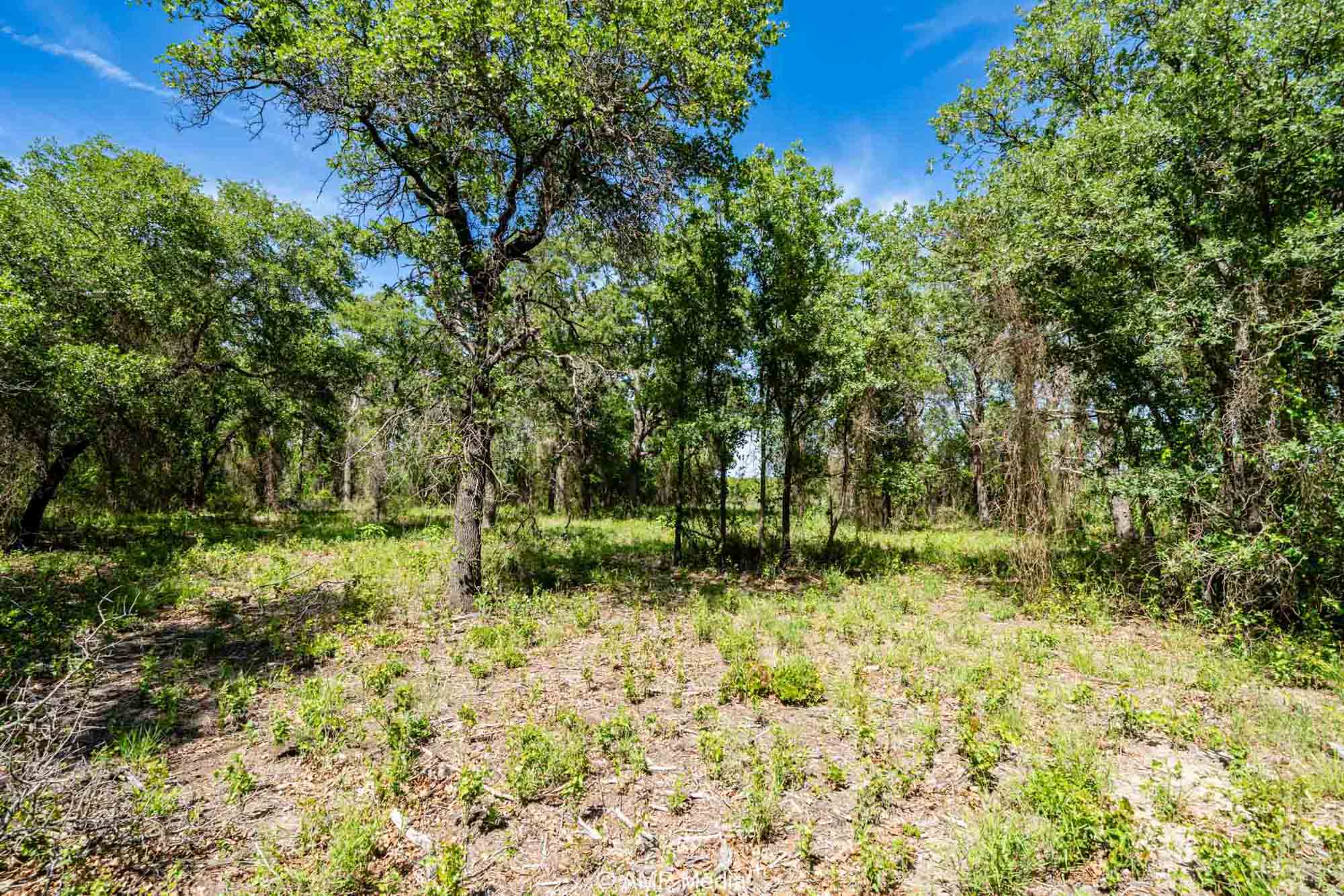 Property Photo 48 Property photograph 48