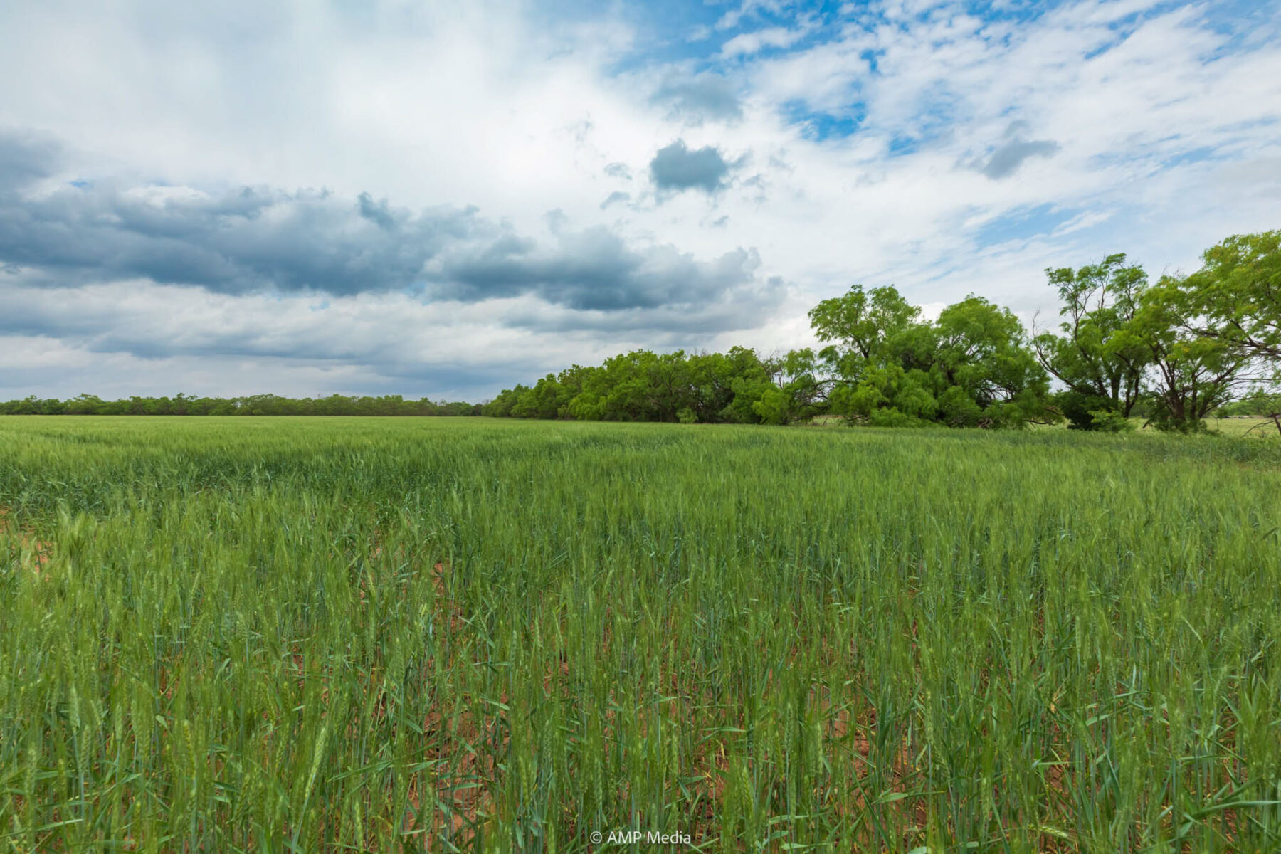 Property Photo 48 Property photograph 48