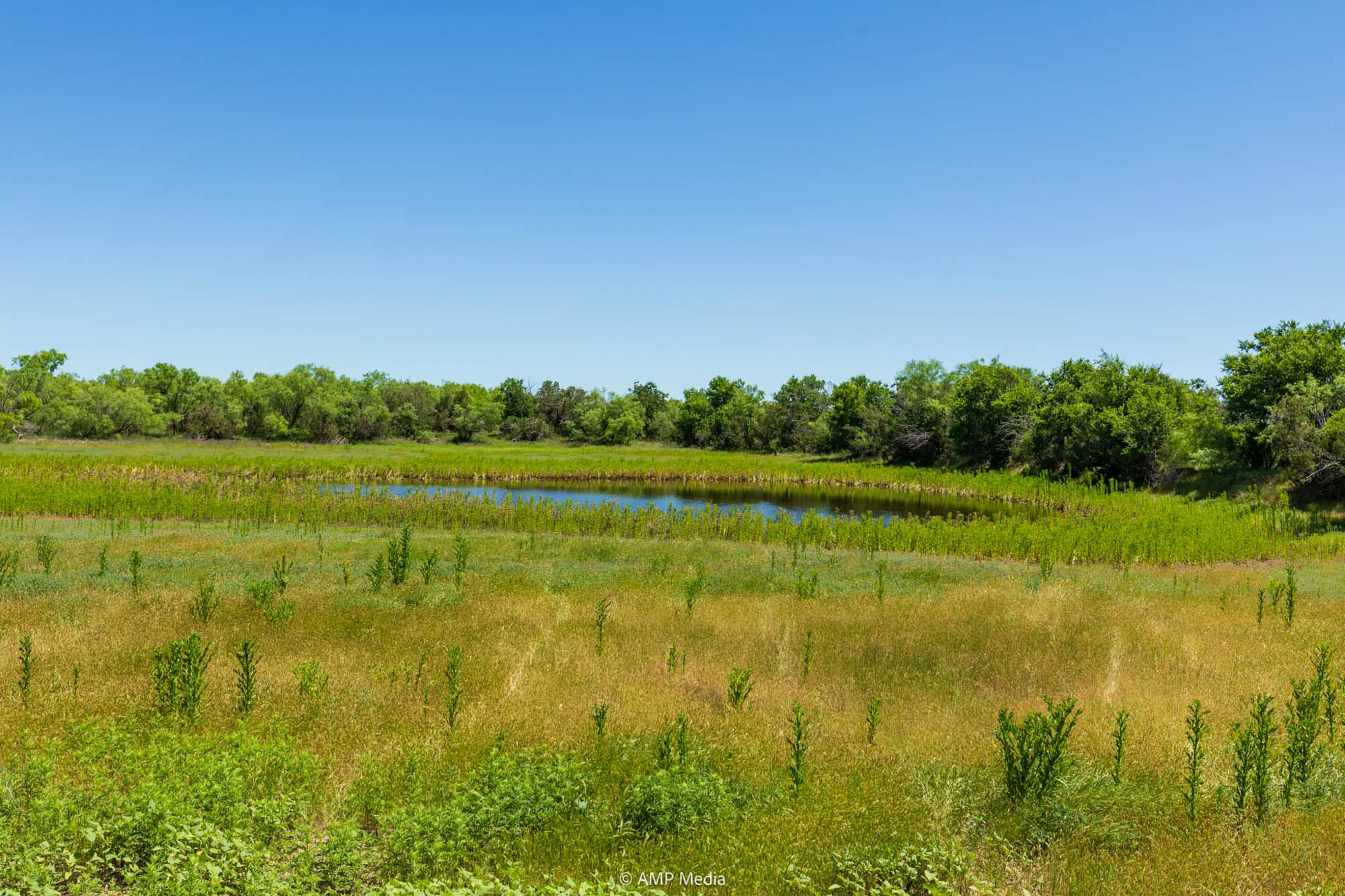 Property Photo 48 Property photograph 48