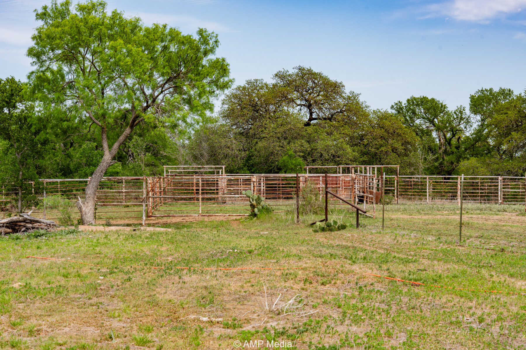 Property Photo 49 Property photograph 49