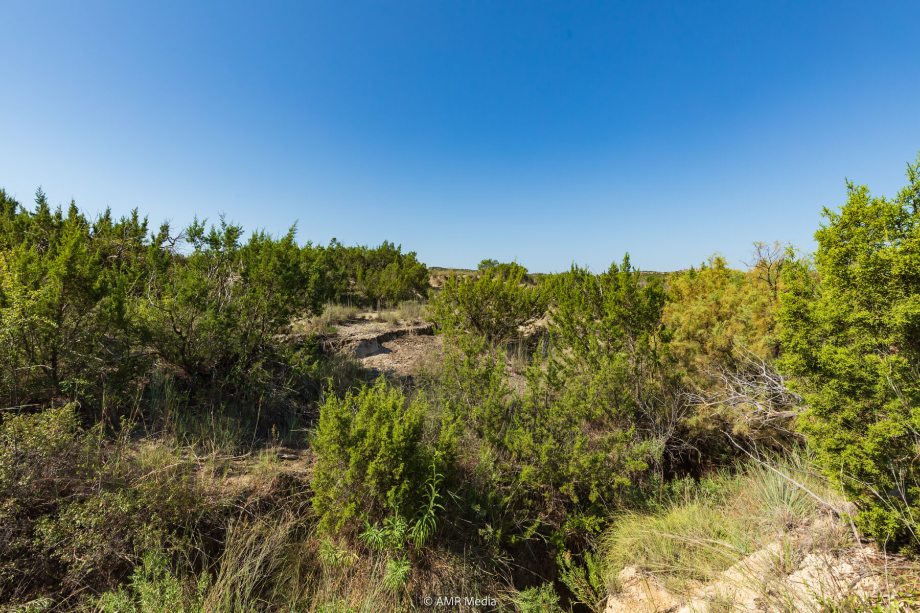 Property Photo 49 Property photograph 49