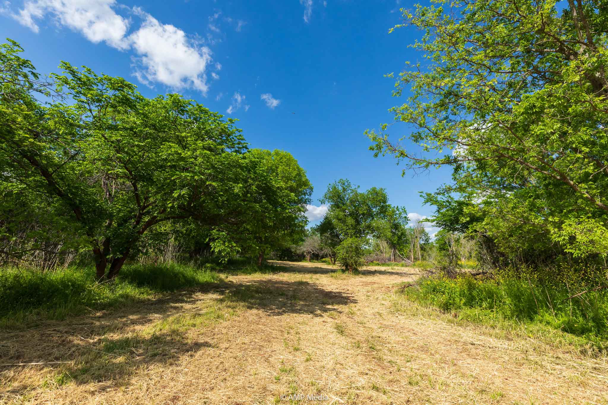 Property Photo 05 Property photograph 05