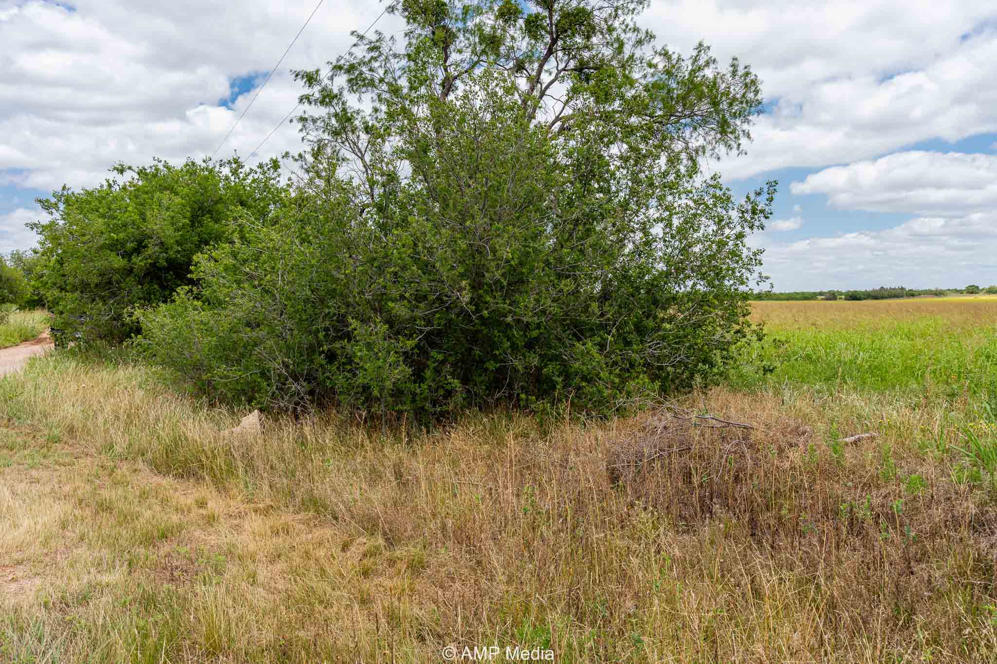 Property Photo 05 Property photograph 05