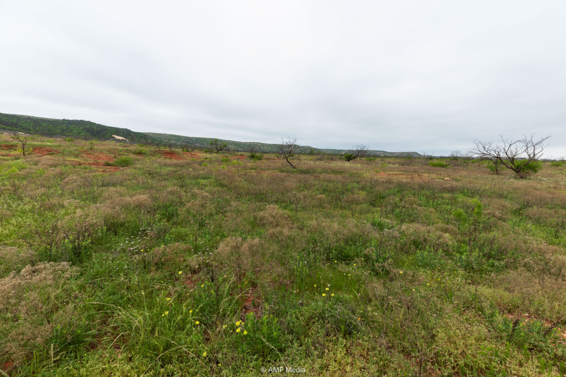 Property Photo 05 Property photograph 05