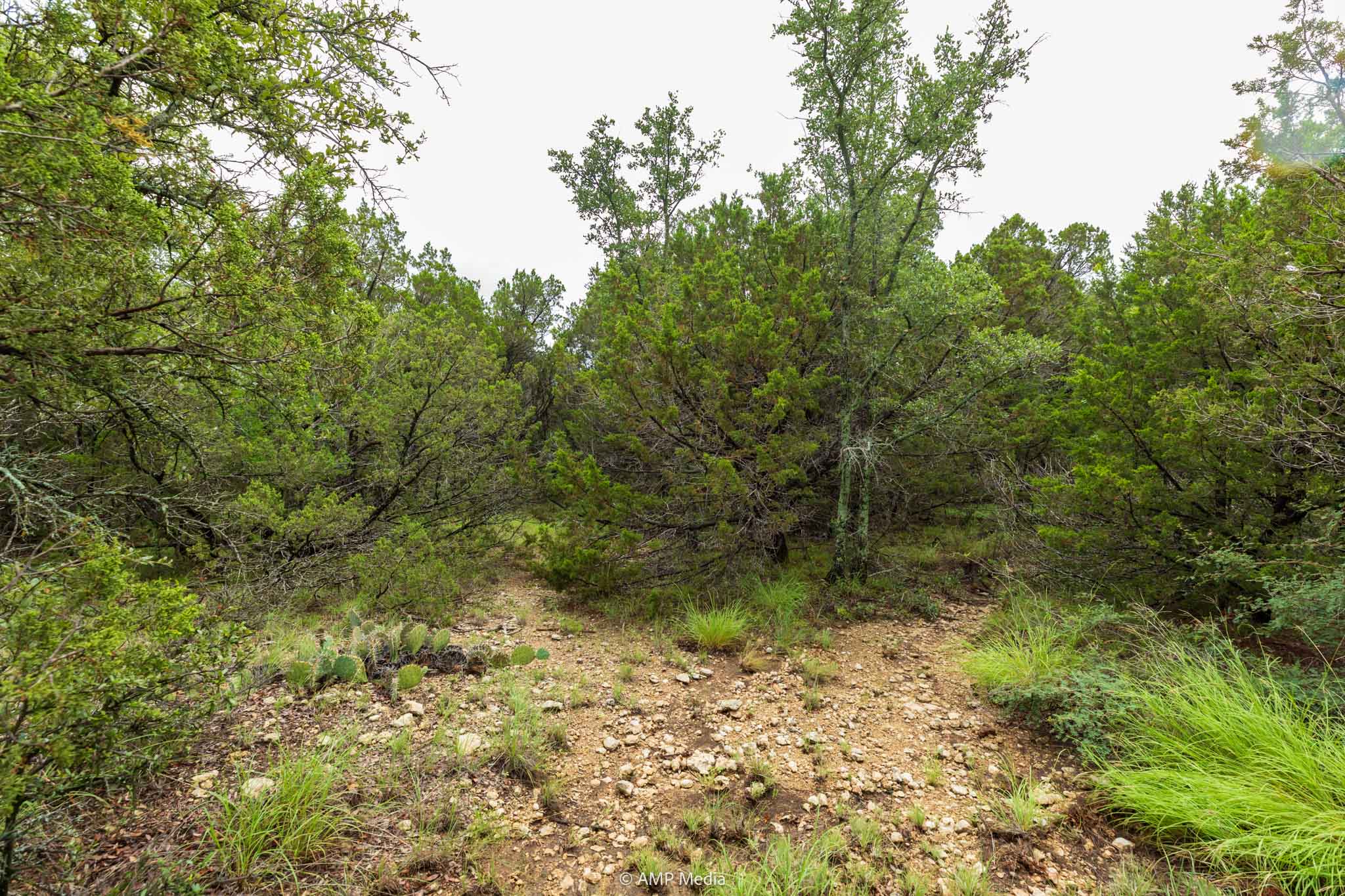 Property Photo 05 Property photograph 05
