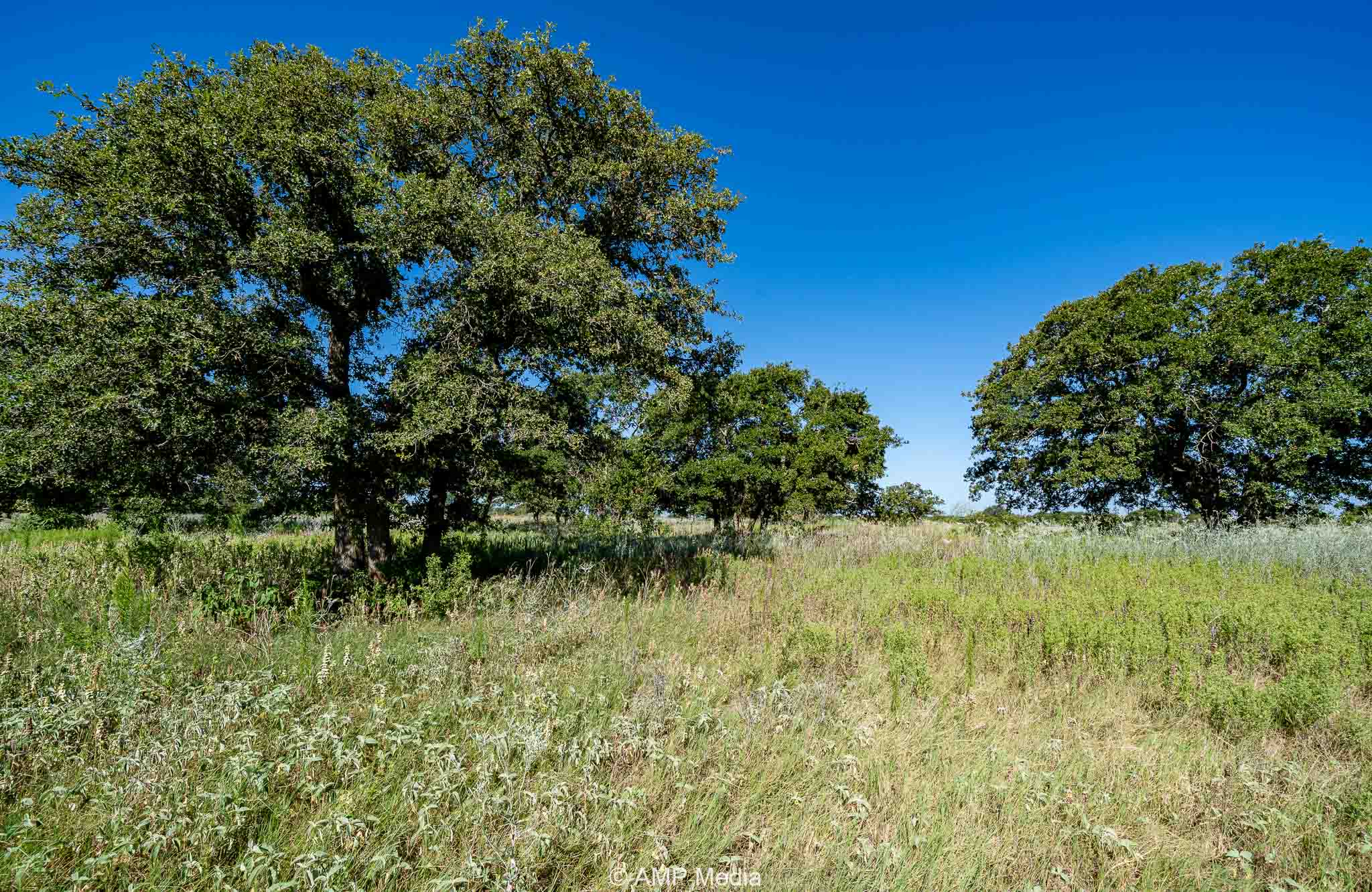 Property Photo 05 Property photograph 05