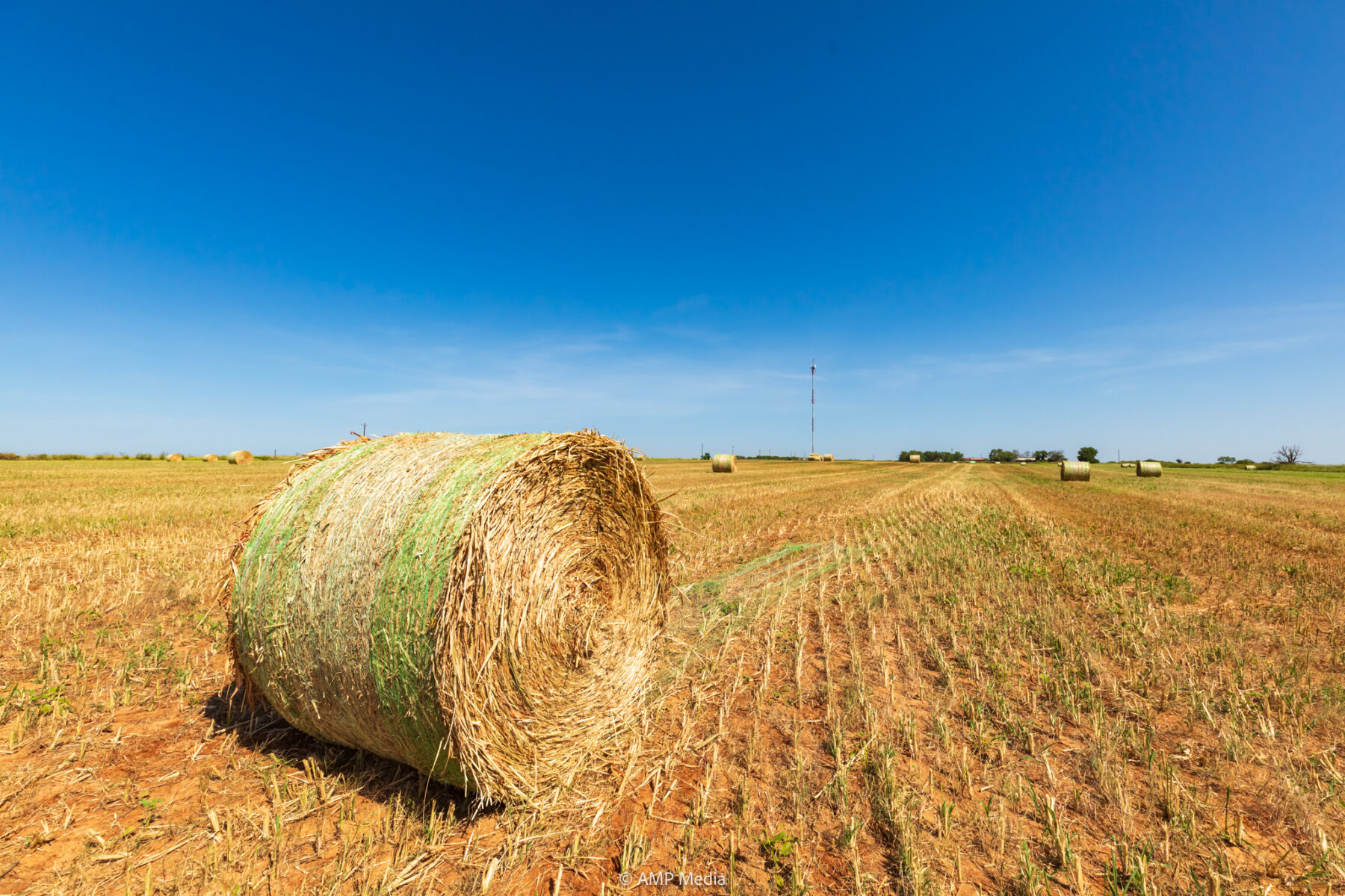 Property Photo 05 Property photograph 05
