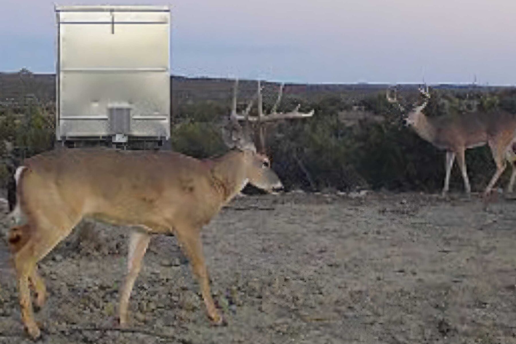 Property Photo 05 Property photograph 05