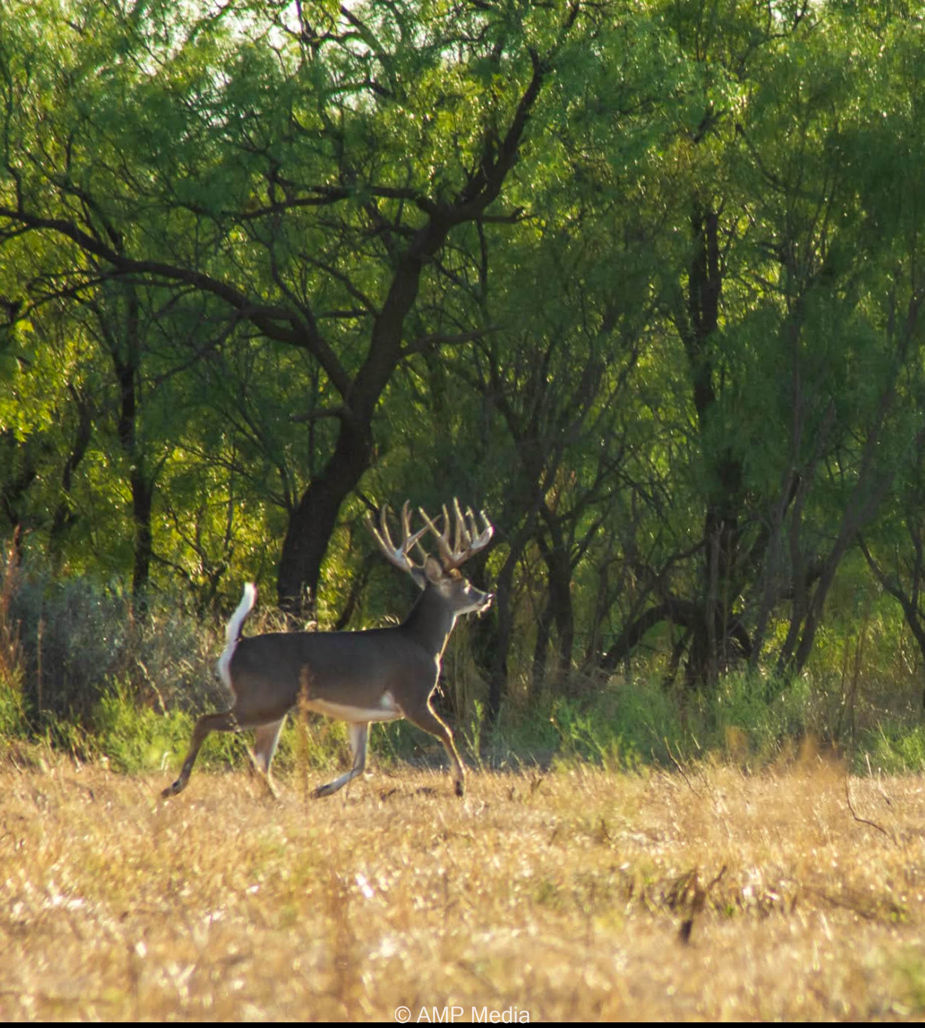 Property Photo 05 Property photograph 05