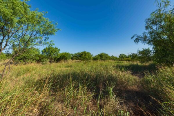 Property photograph 05