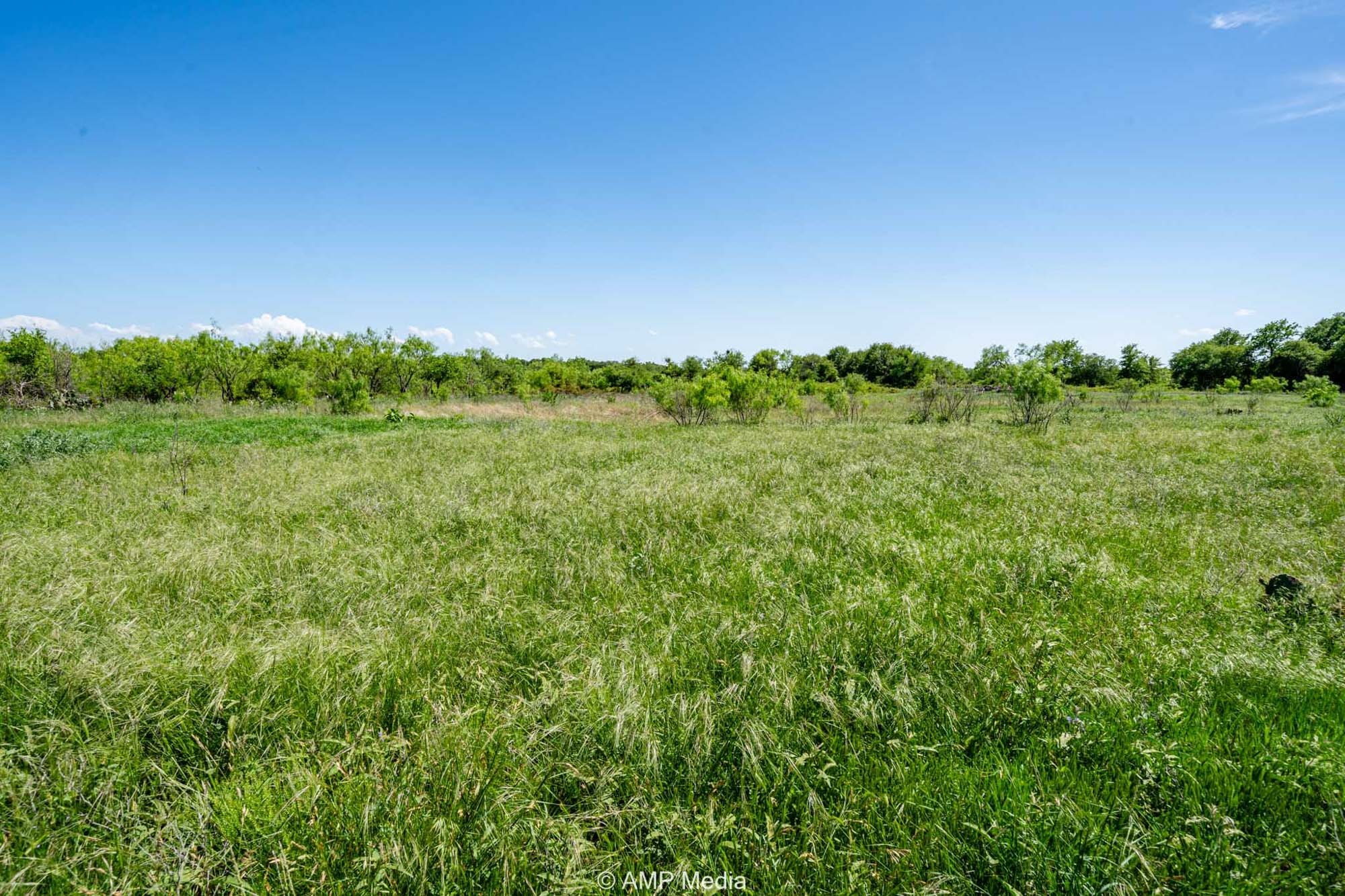 Property Photo 50 Property photograph 50