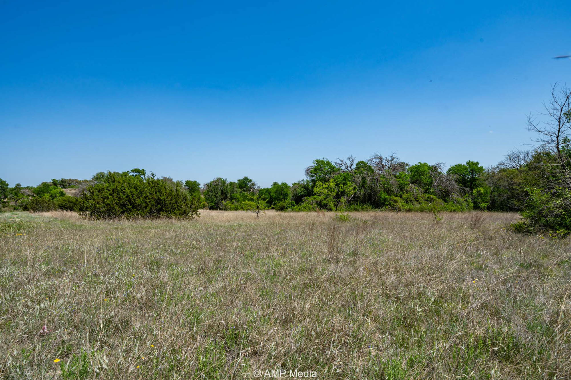 Property Photo 50 Property photograph 50