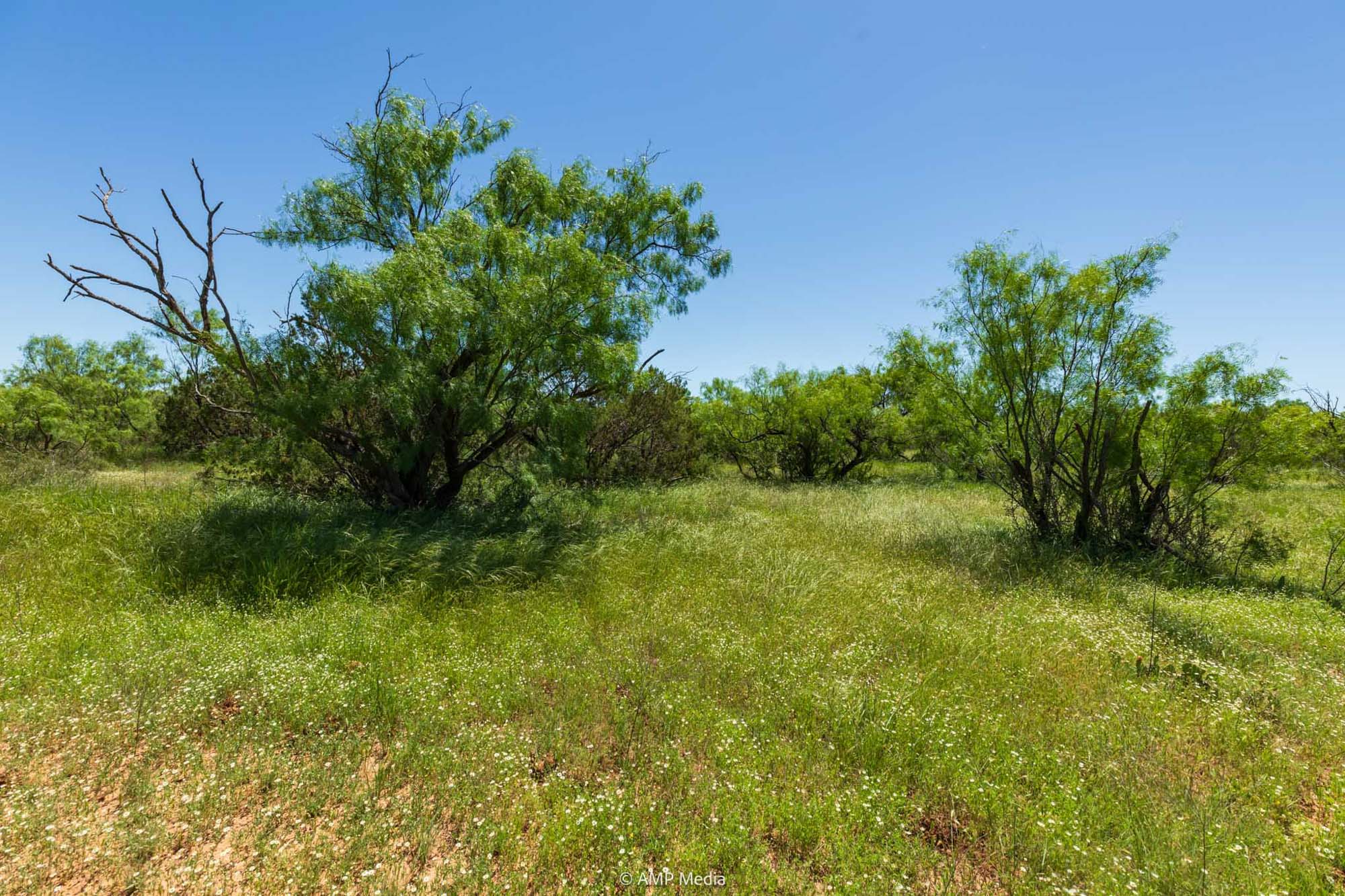 Property Photo 50 Property photograph 50