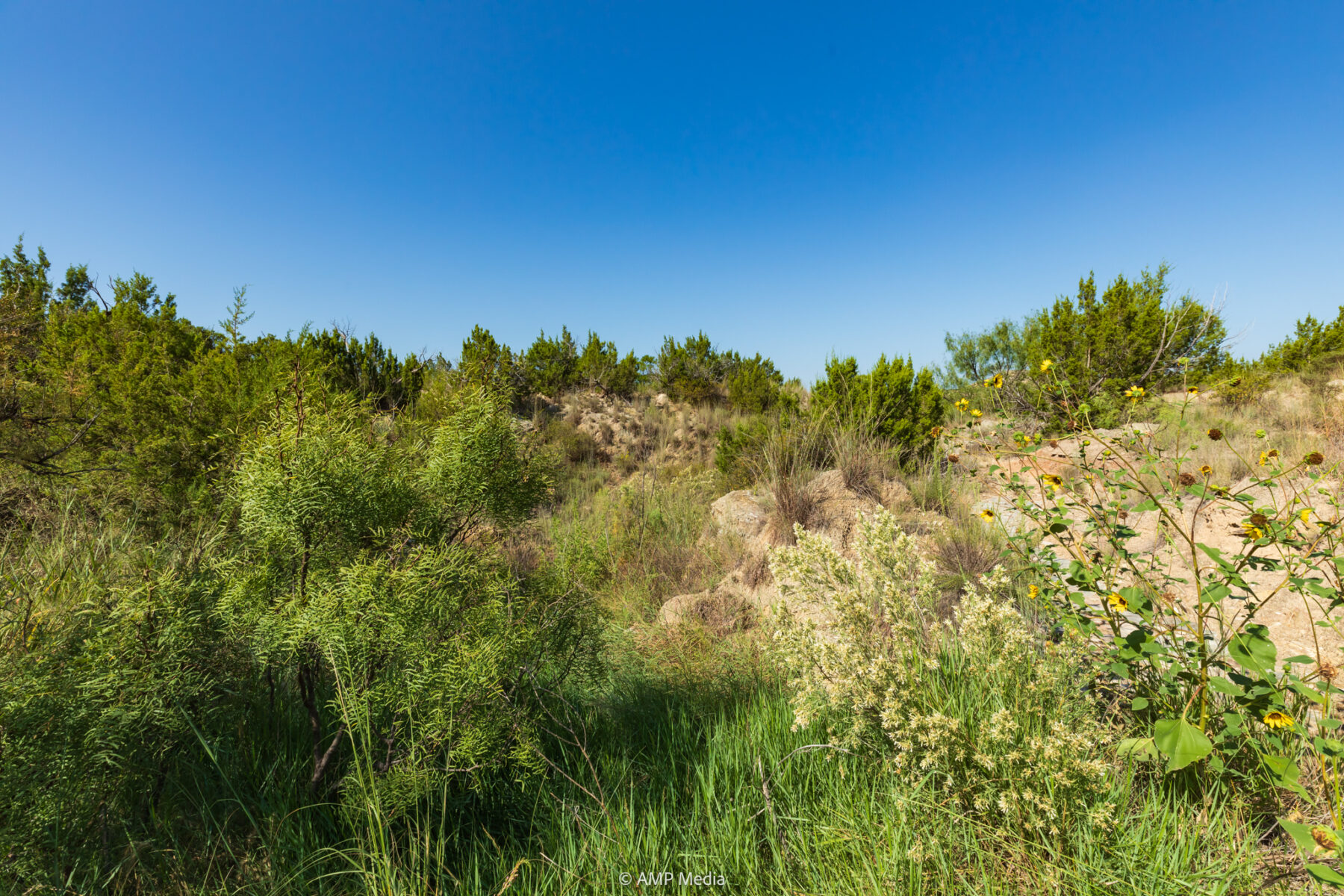 Property Photo 50 Property photograph 50