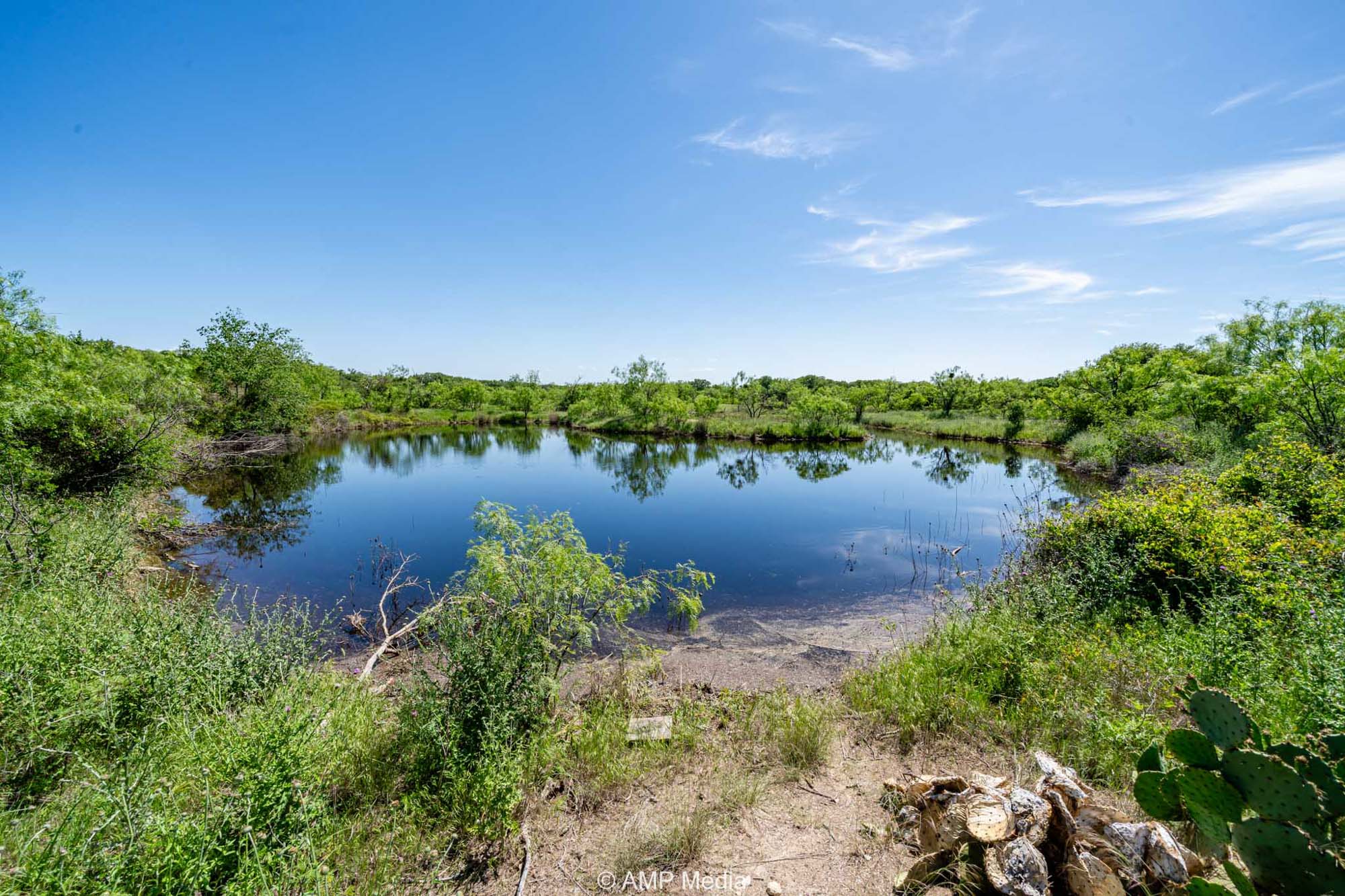 Property Photo 51 Property photograph 51