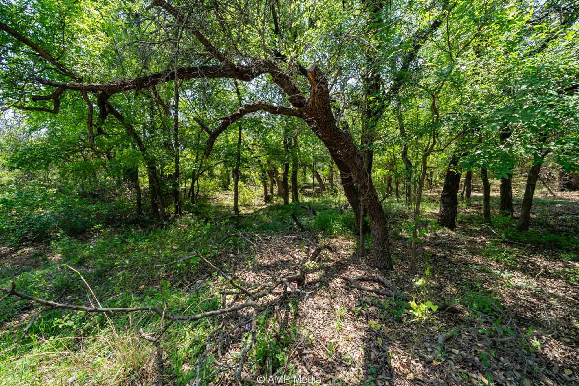 Property Photo 51 Property photograph 51