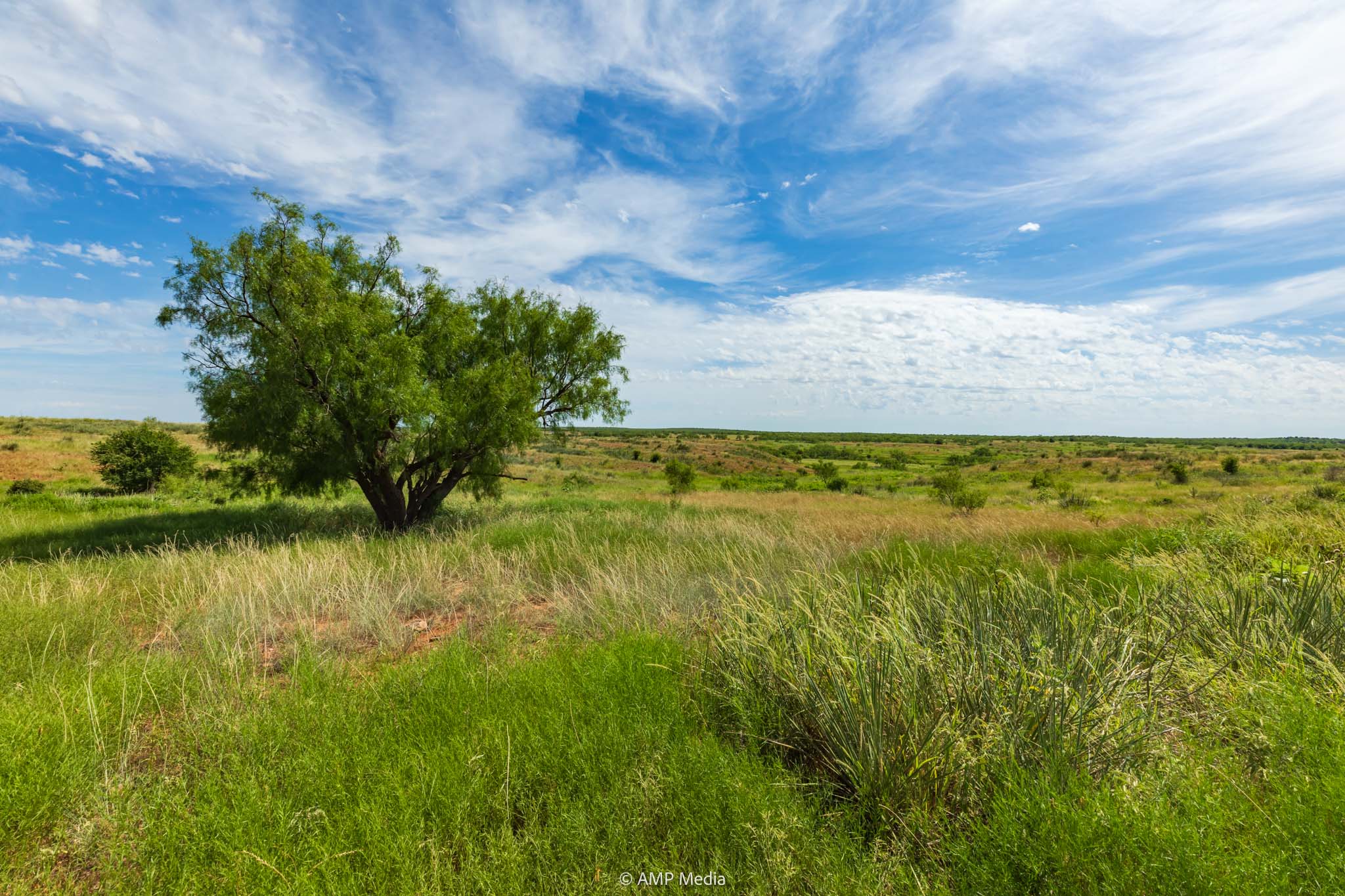 Property Photo 51 Property photograph 51