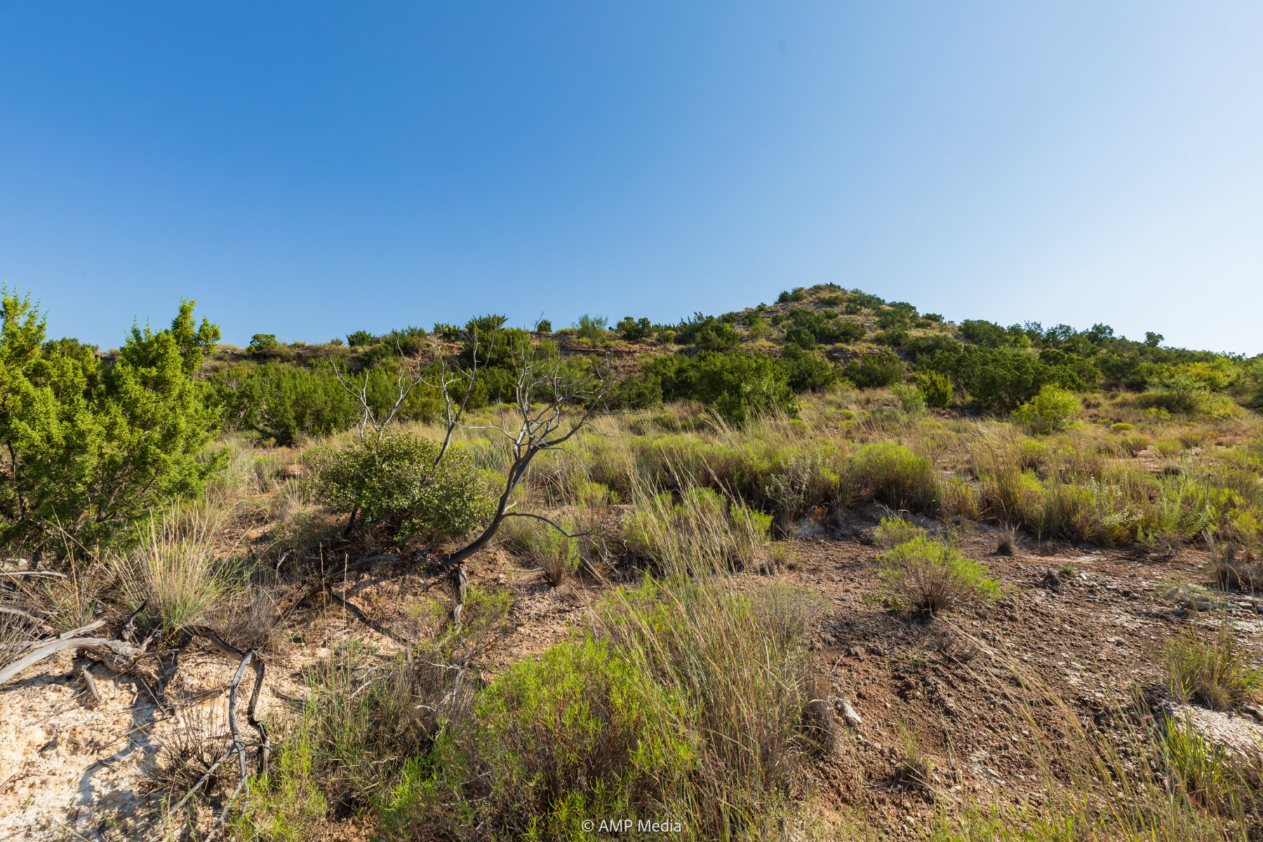 Property Photo 51 Property photograph 51