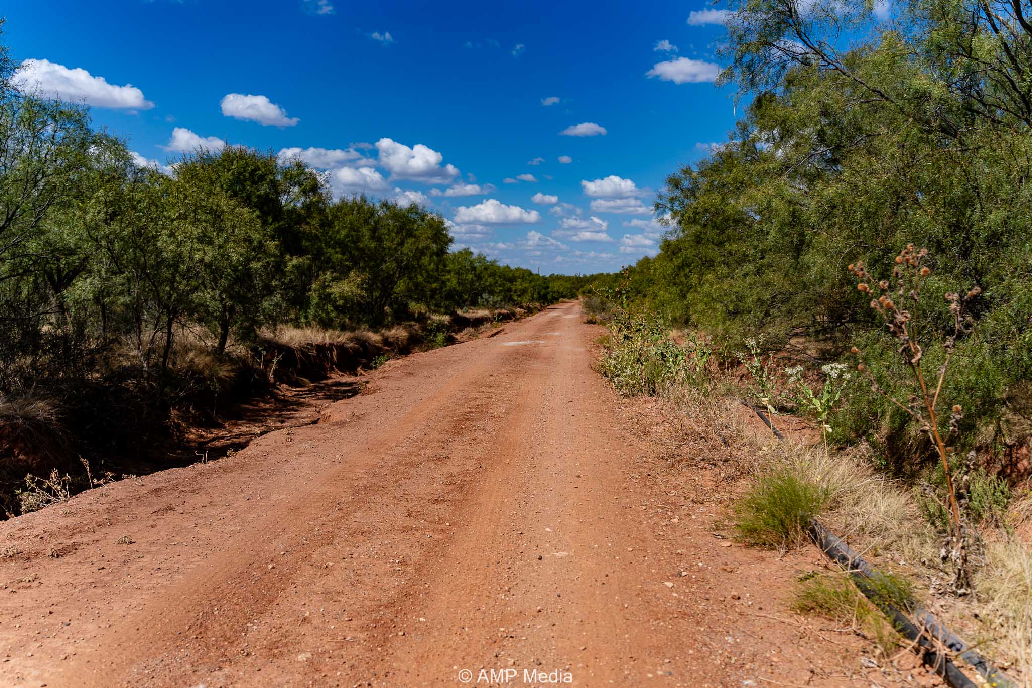 Property Photo 51 Property photograph 51