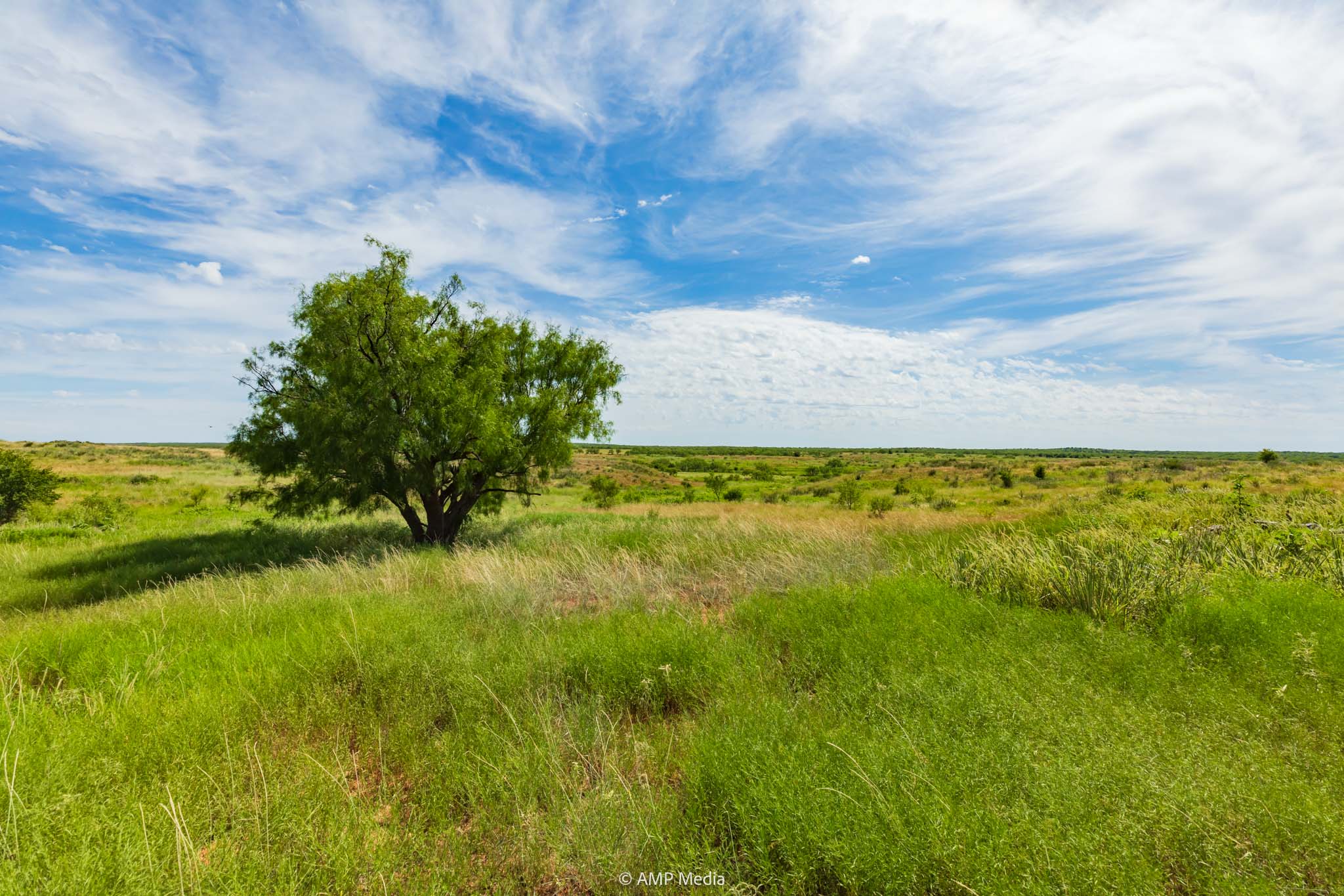 Property Photo 52 Property photograph 52