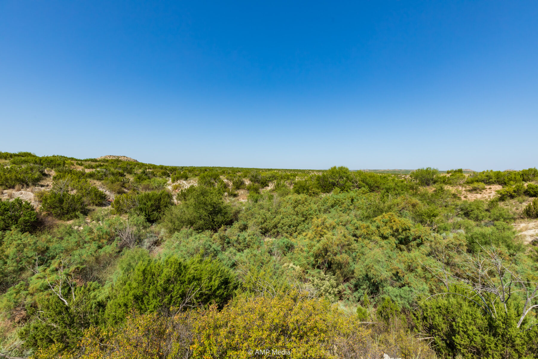 Property Photo 52 Property photograph 52