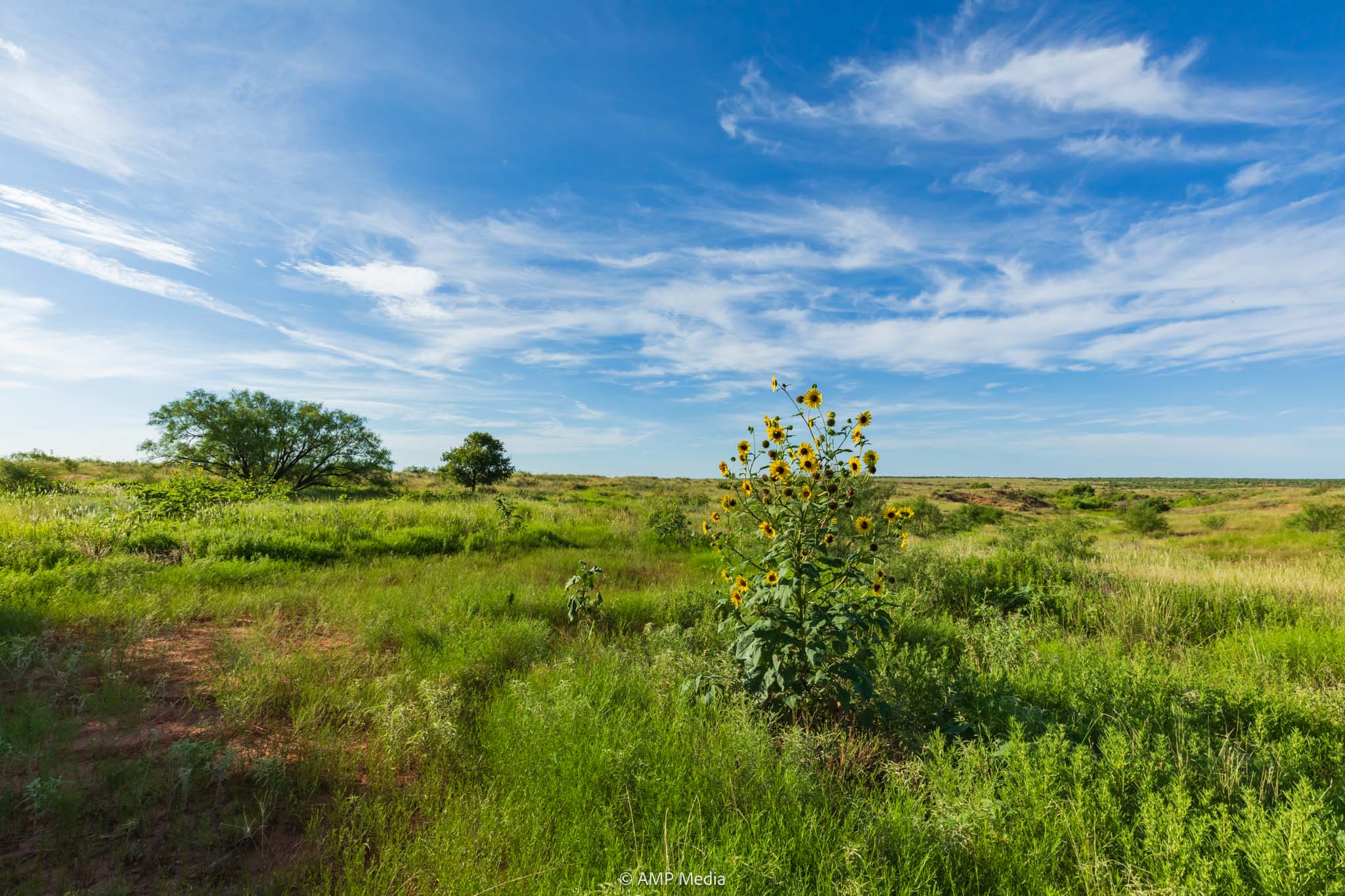 Property Photo 54 Property photograph 54