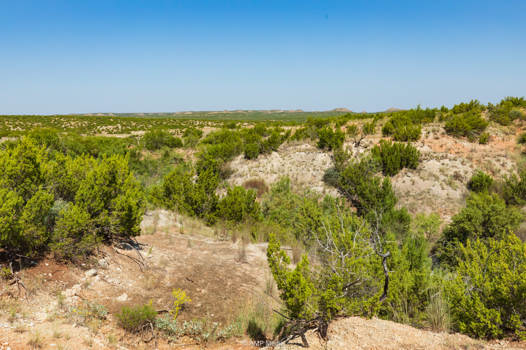 Property Photo 54 Property photograph 54