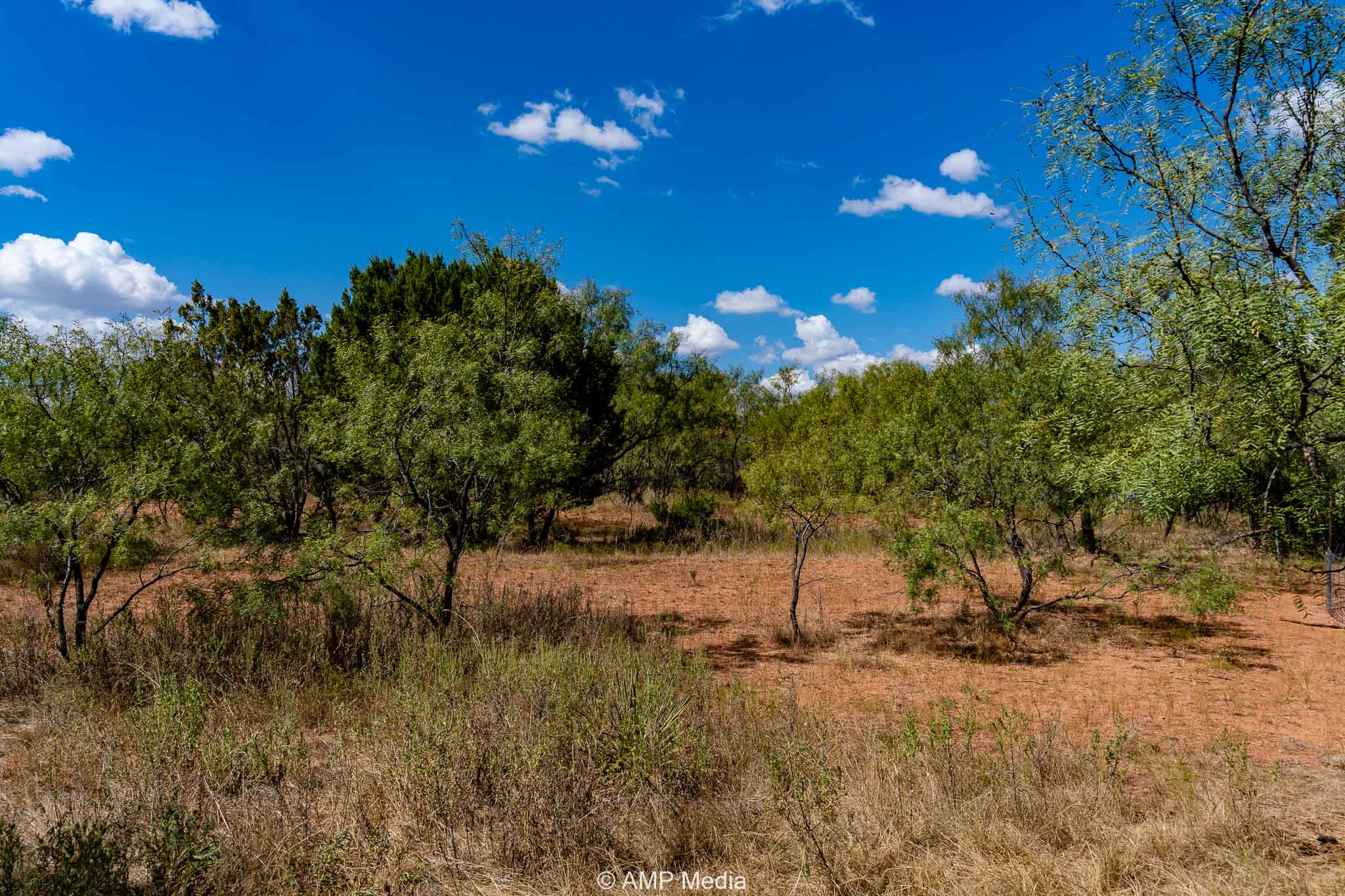 Property Photo 54 Property photograph 54